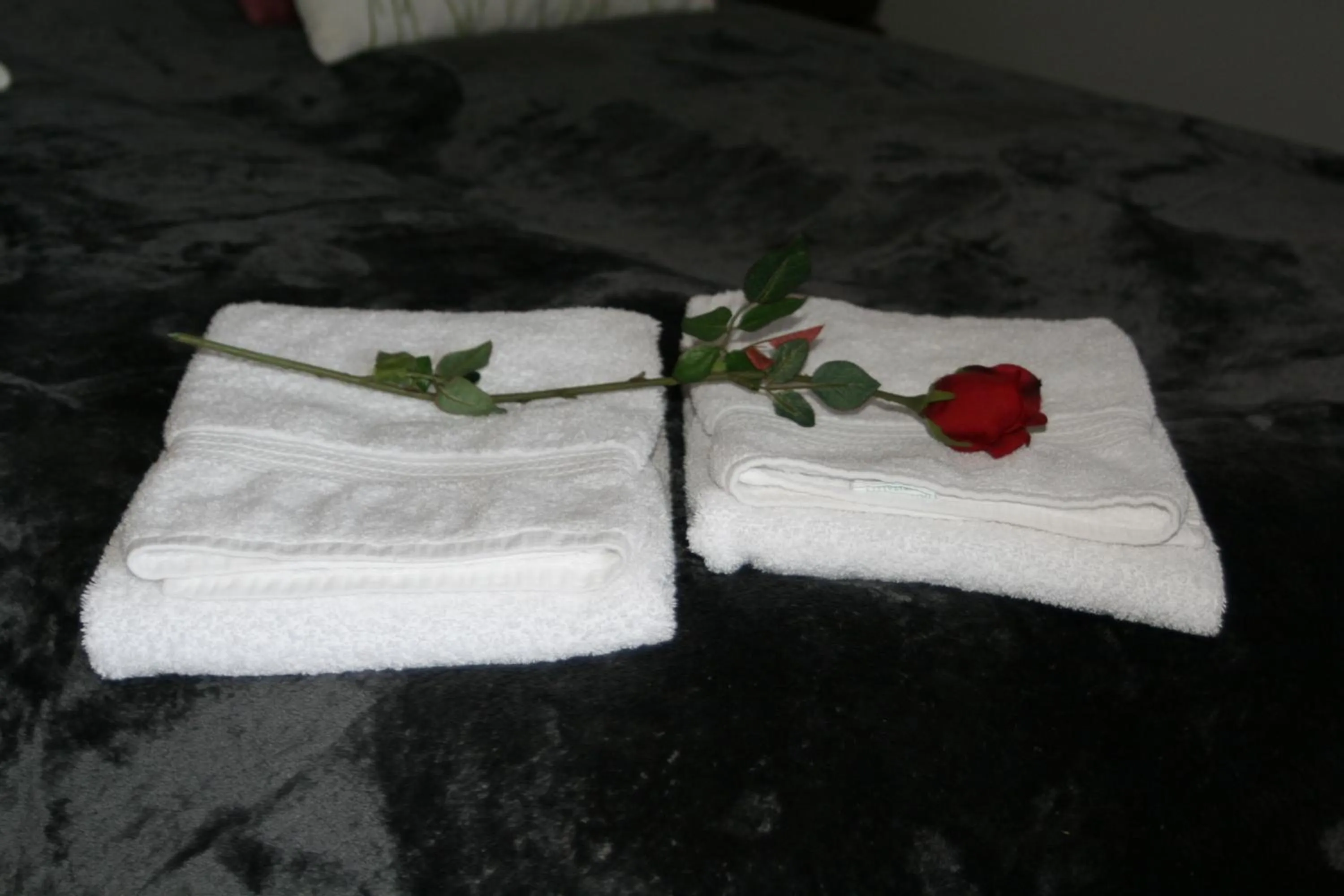 Country Dream - Langholt 2