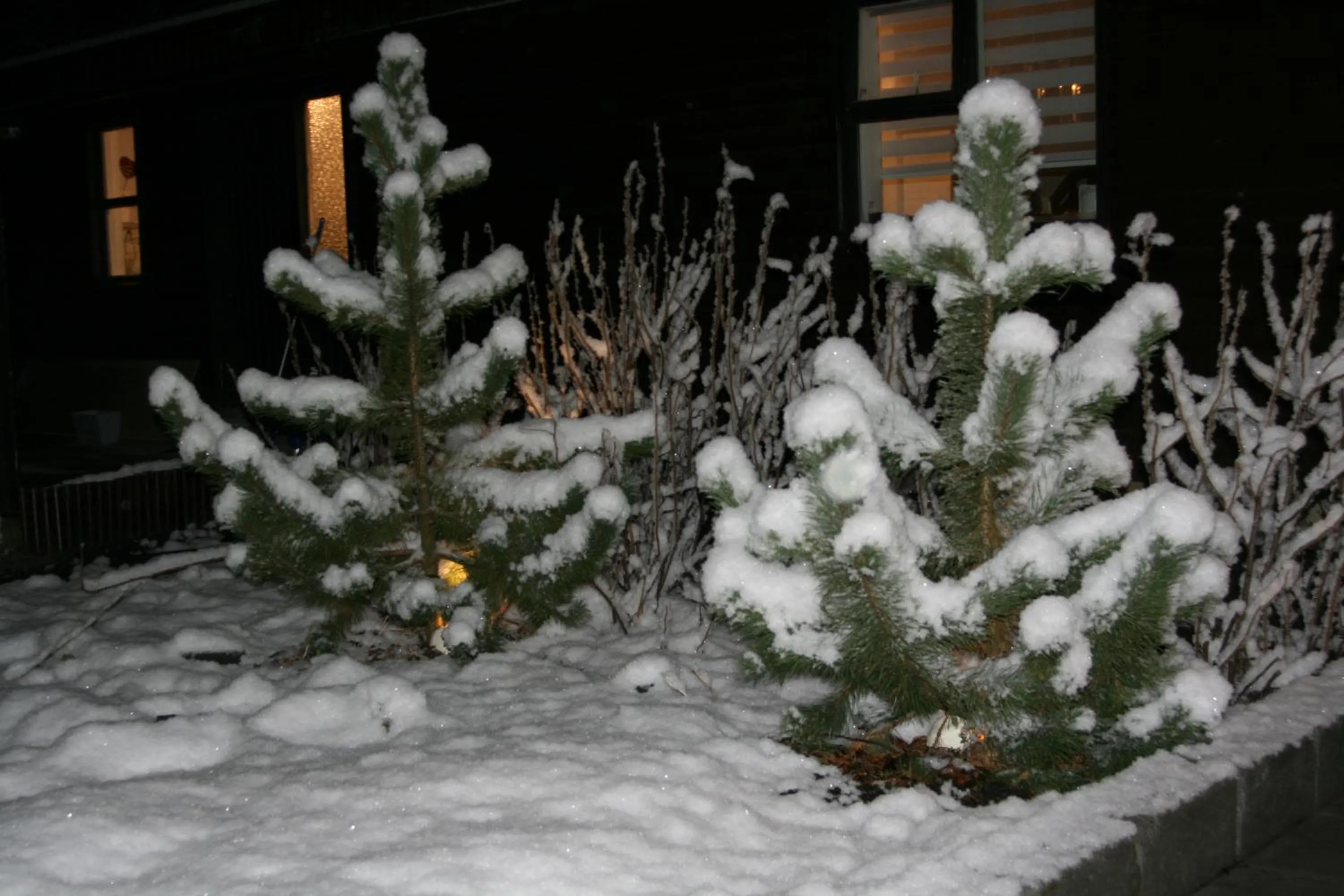 Property building in Country Dream - Langholt 2