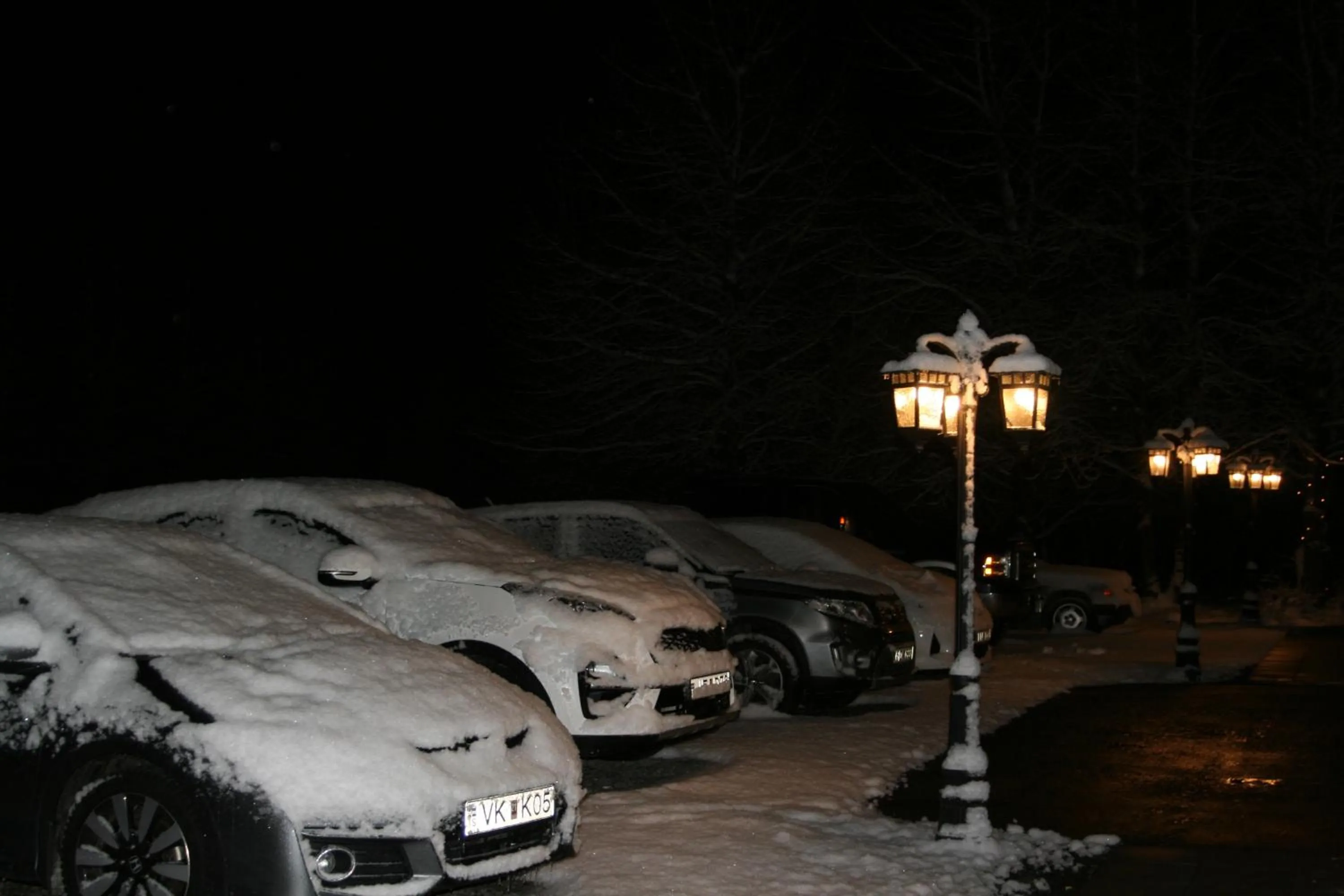 Country Dream - Langholt 2