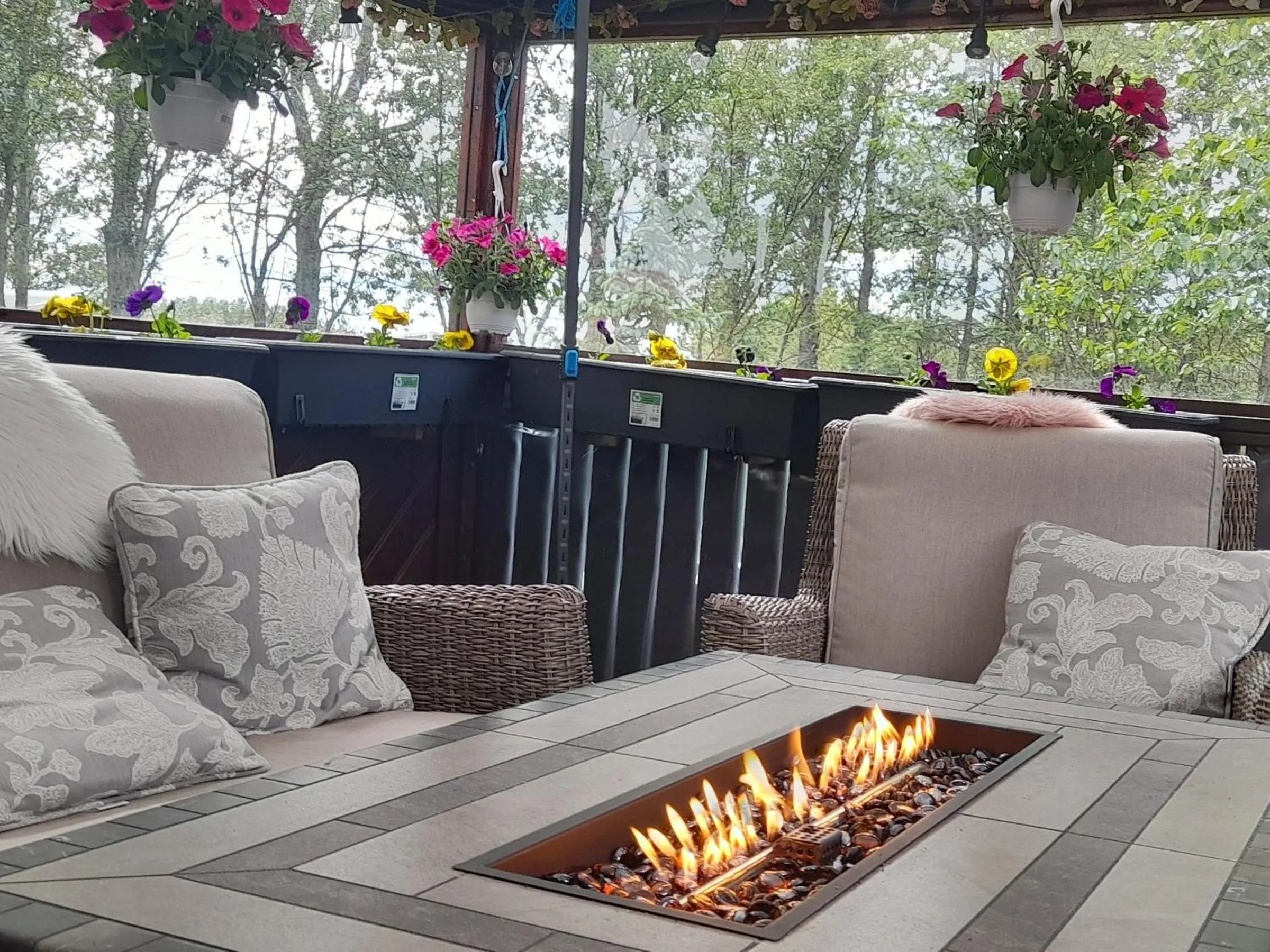 Country Dream - Langholt 2