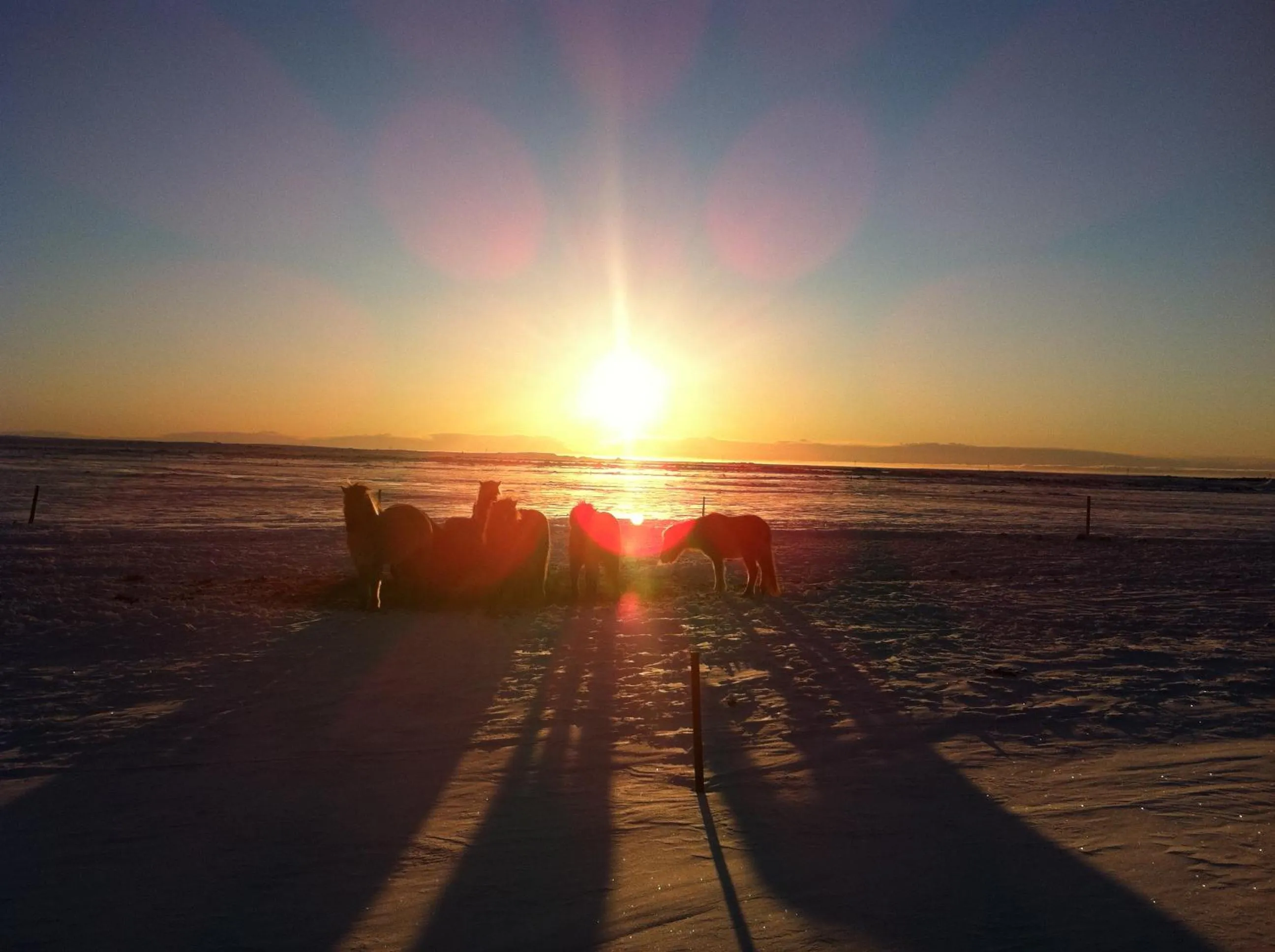 Beach in Country Dream - Langholt 2
