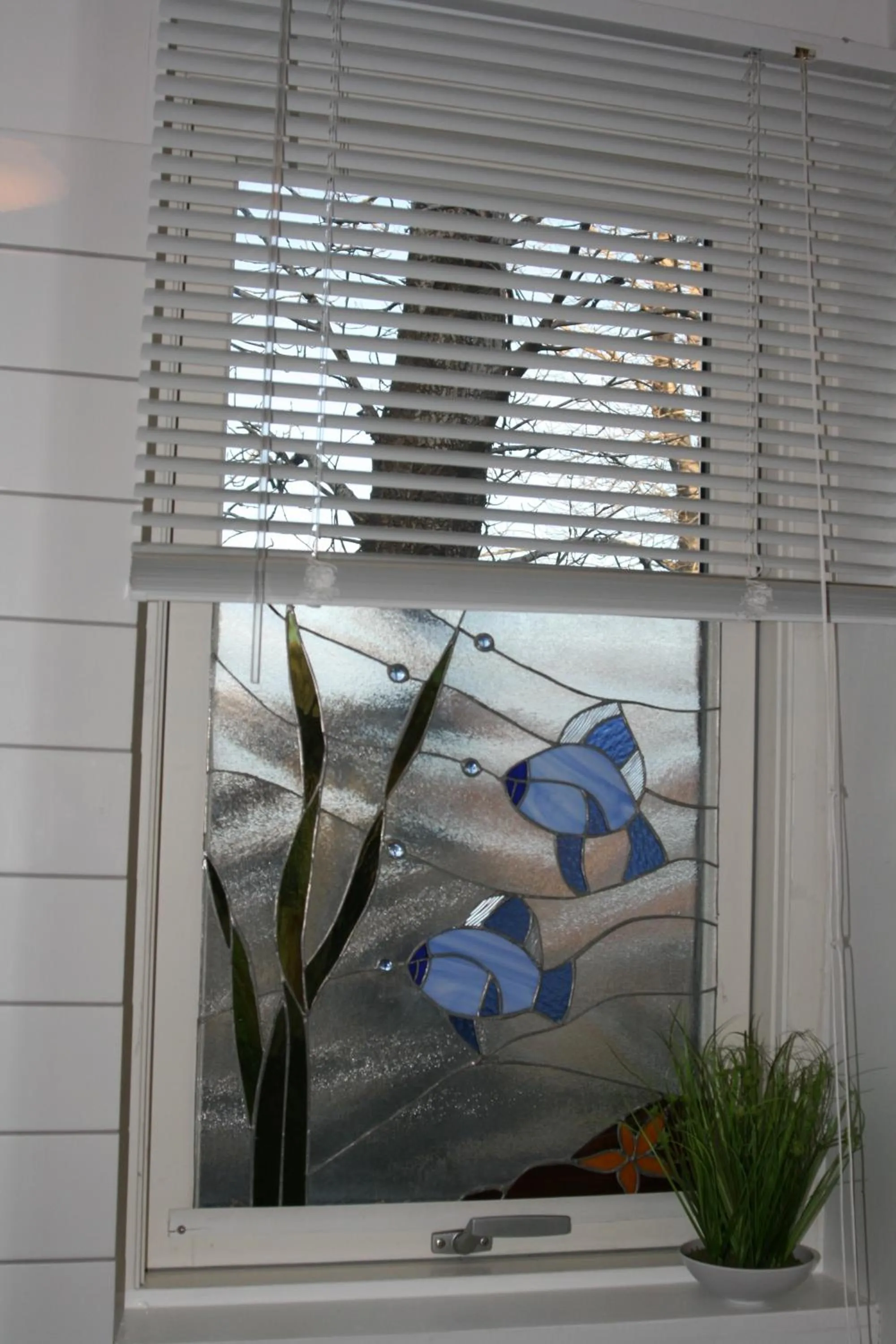 Country Dream - Langholt 2