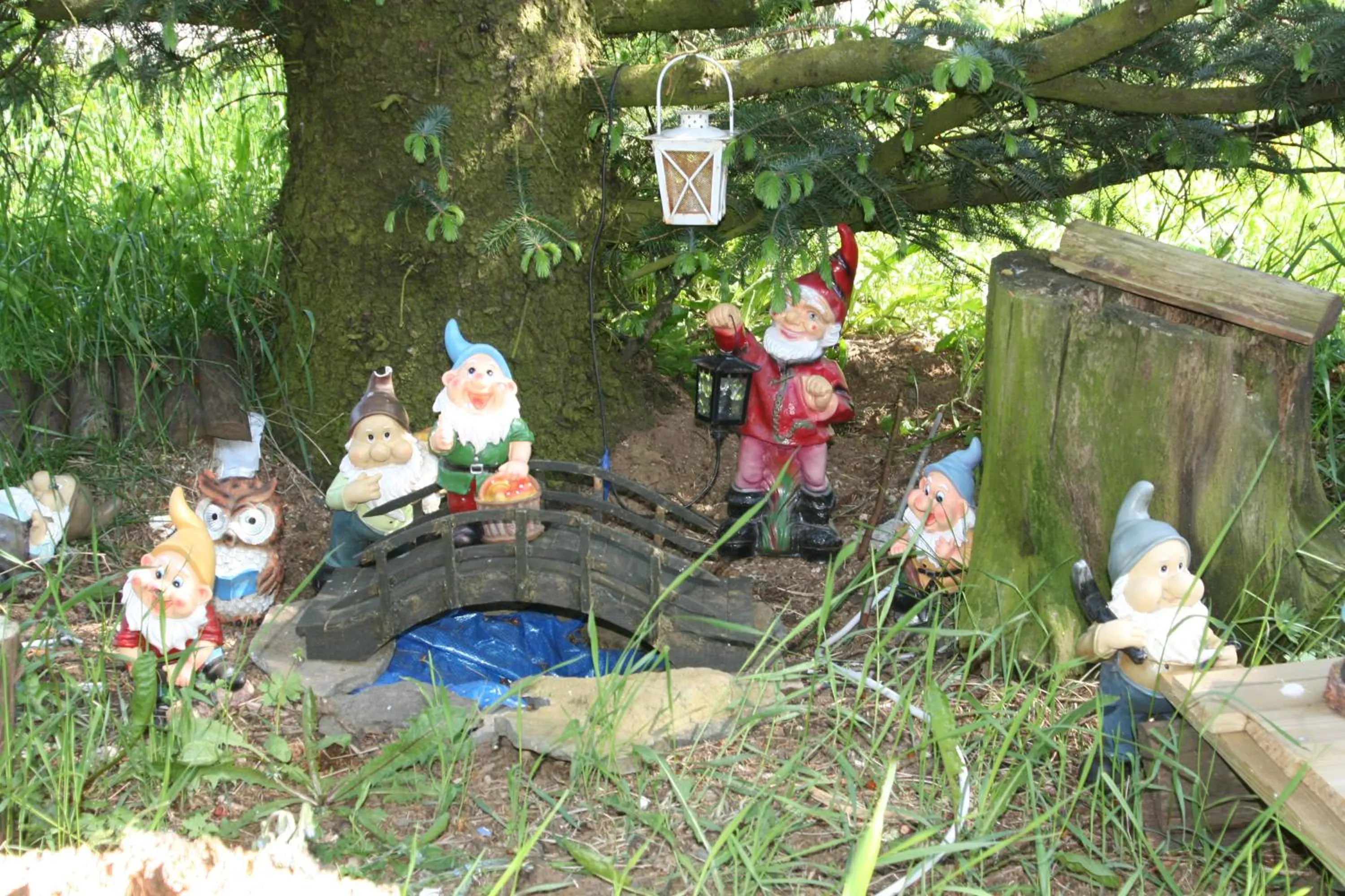 Country Dream - Langholt 2