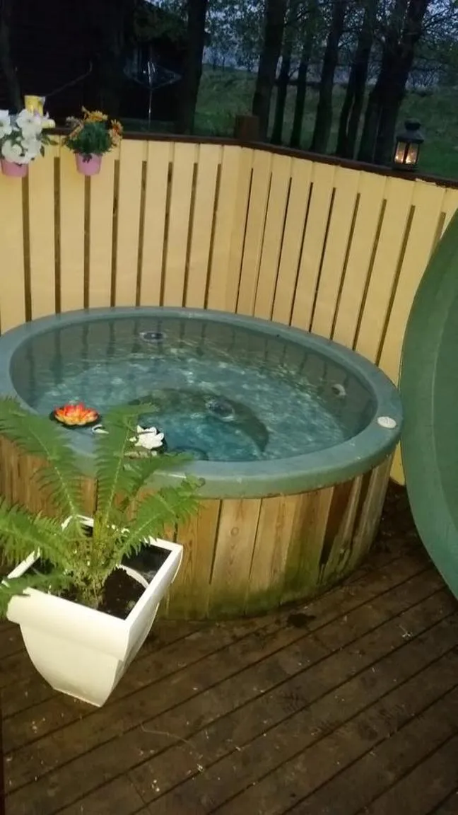 Balcony/Terrace in Country Dream - Langholt 2