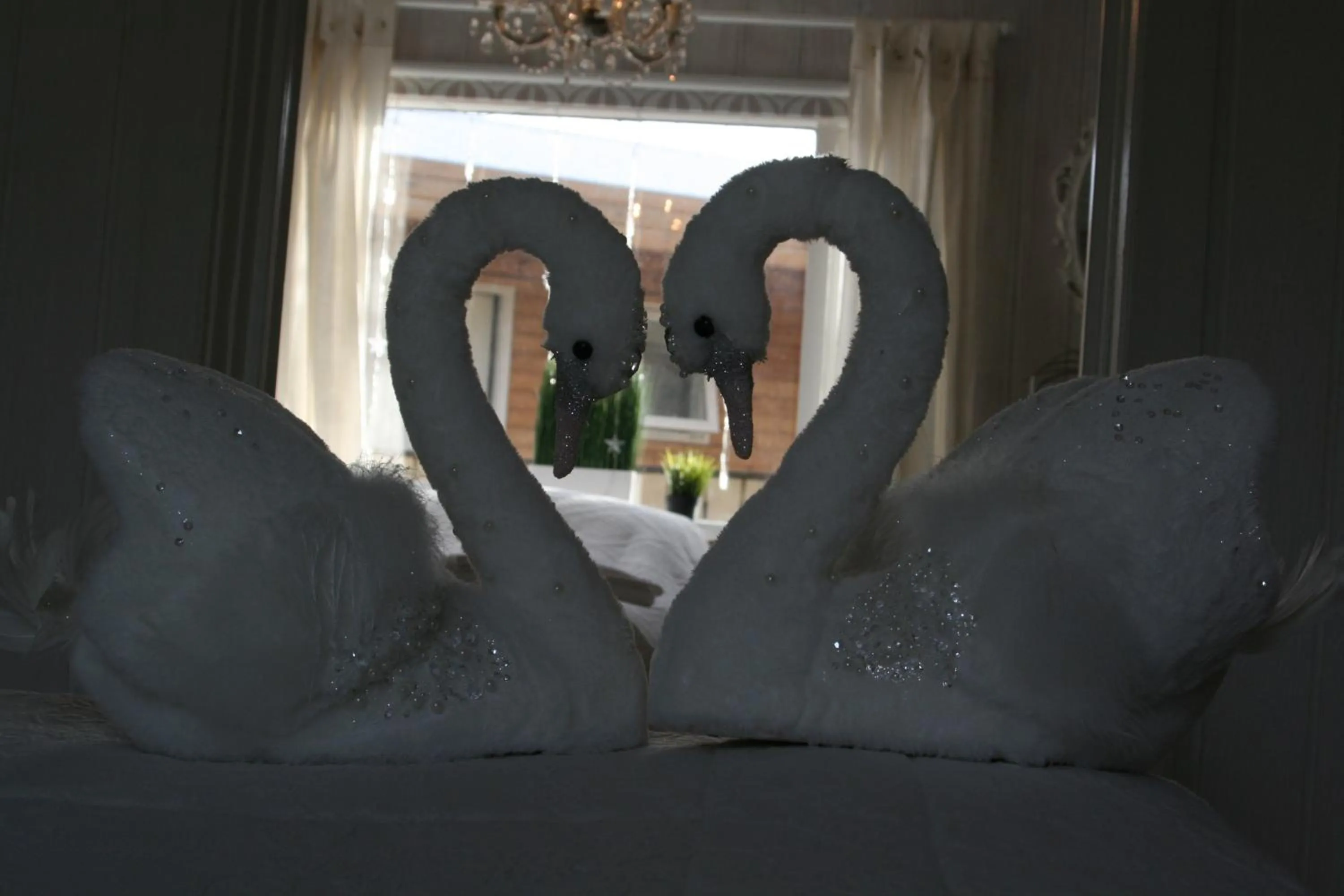 Country Dream - Langholt 2