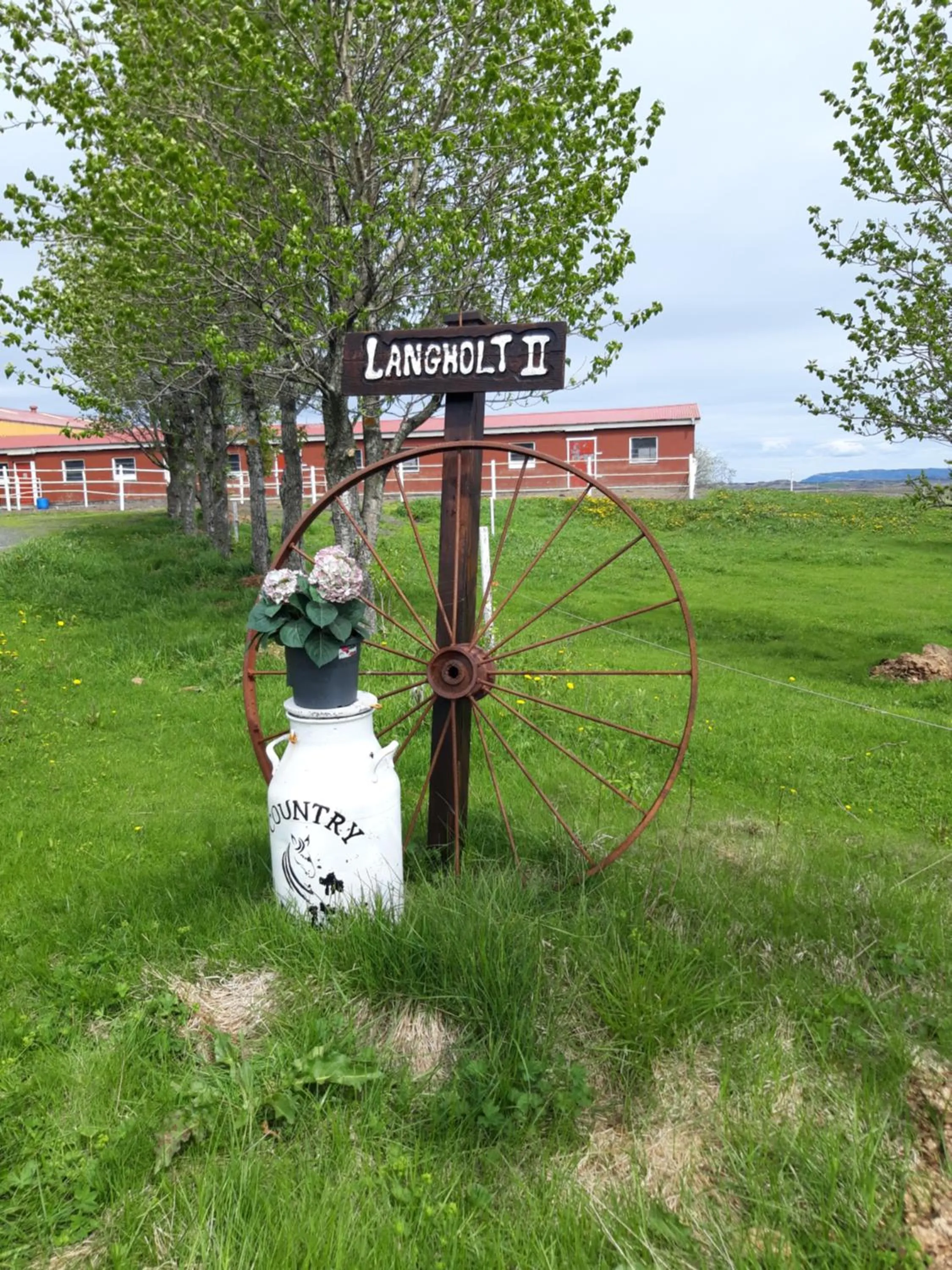 Country Dream - Langholt 2