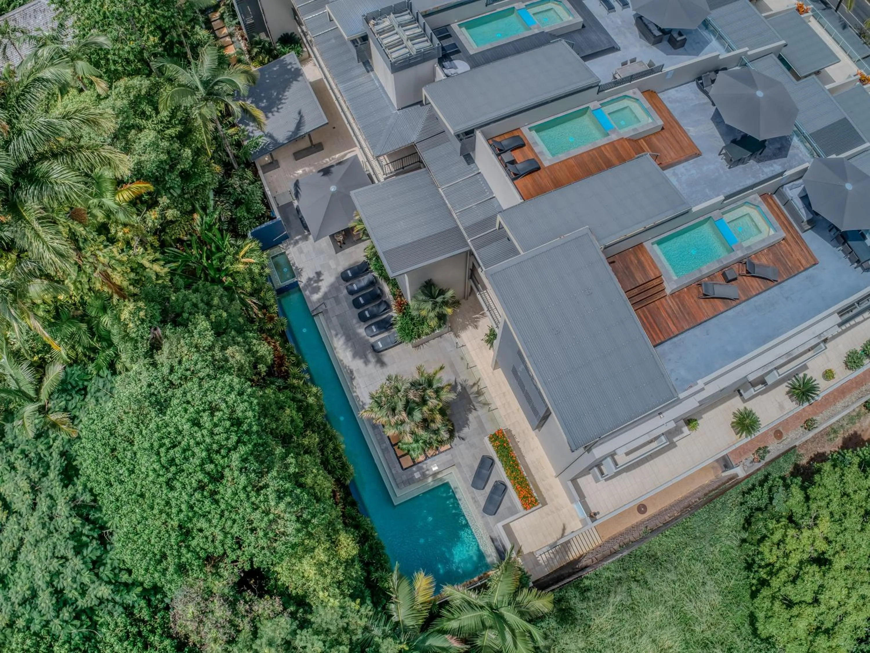 Bird's eye view in Coconut Grove