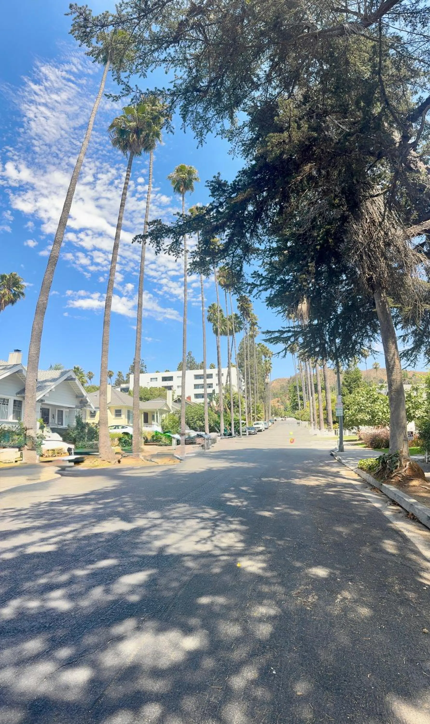 Neighbourhood in Dresden B & B