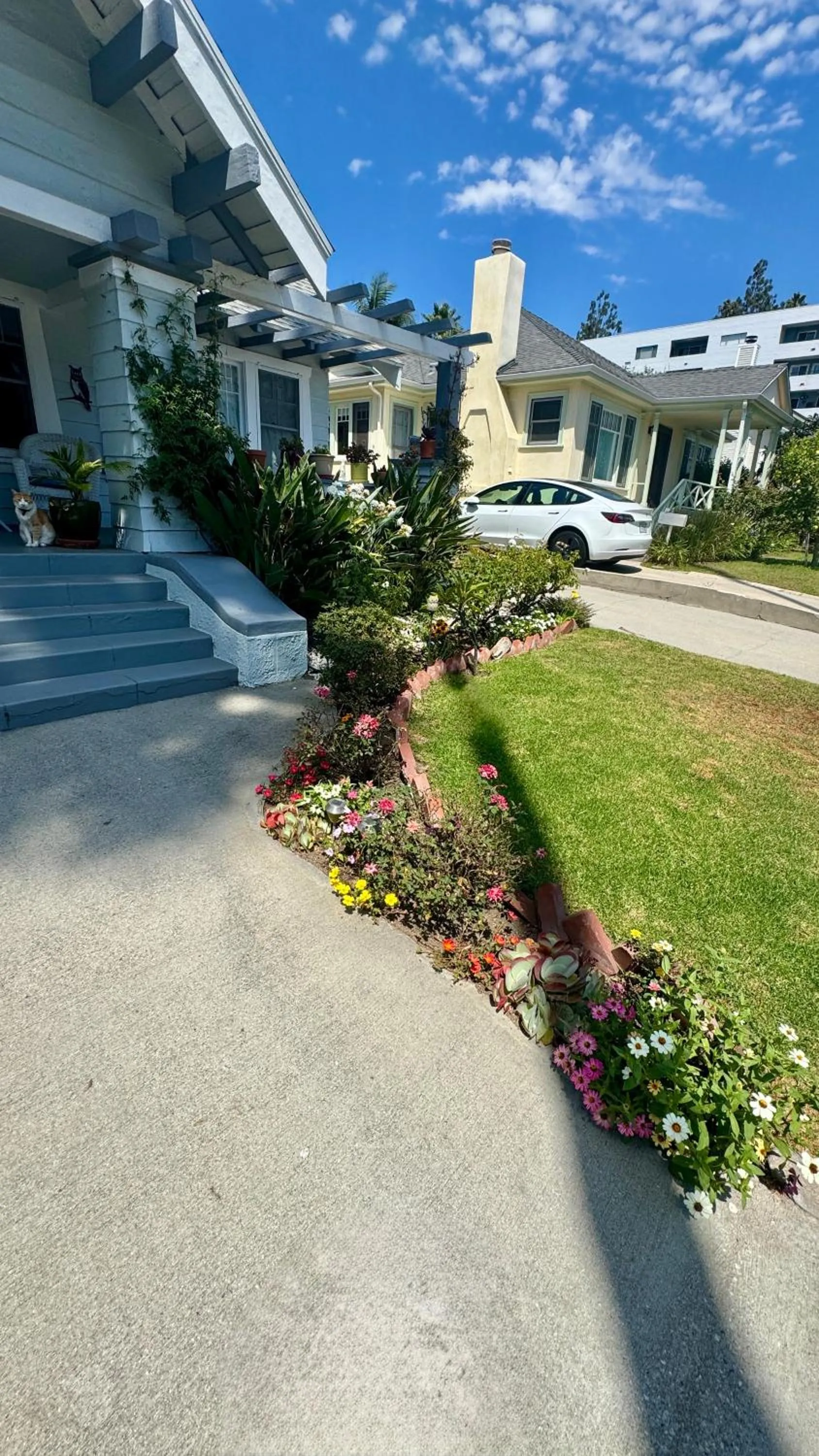 Property building in Dresden B & B