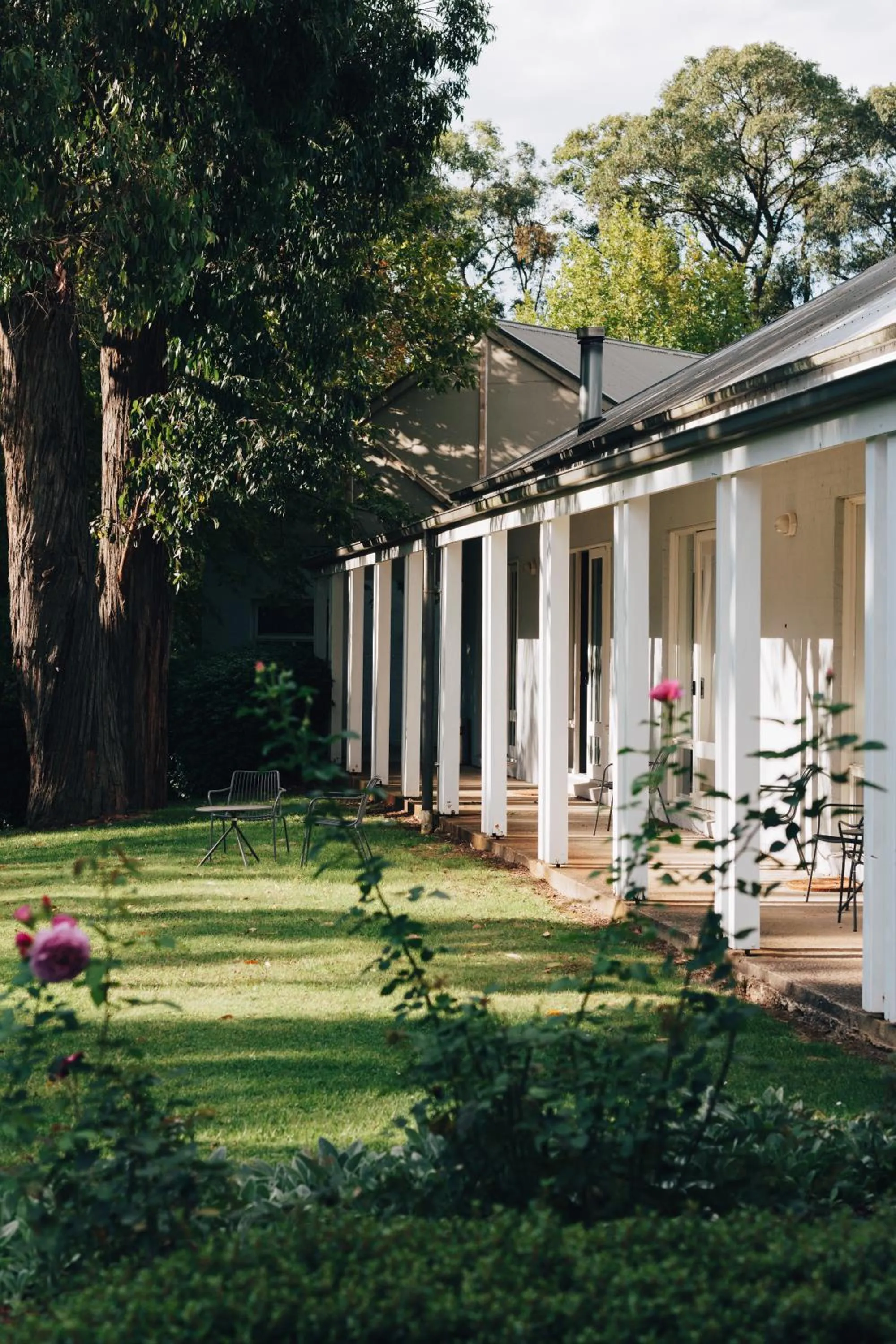 Garden view in Lancemore Lindenderry Red Hill
