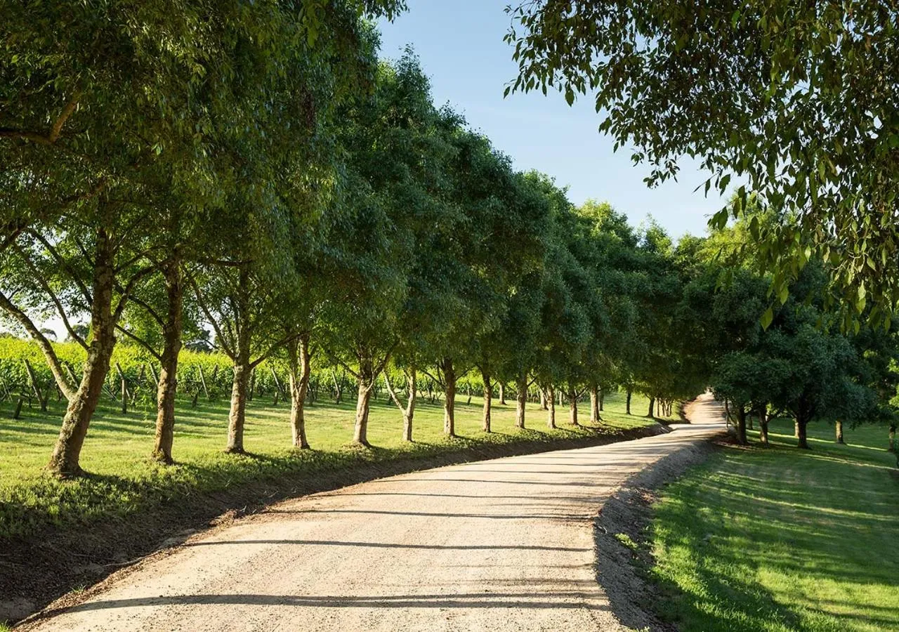 Natural landscape in Lancemore Lindenderry Red Hill