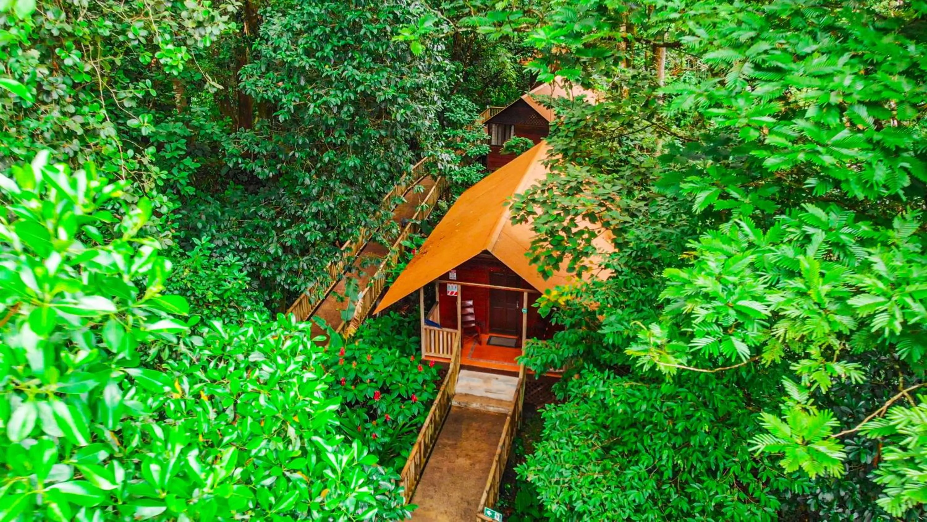 Natural landscape in Aninga Lodge