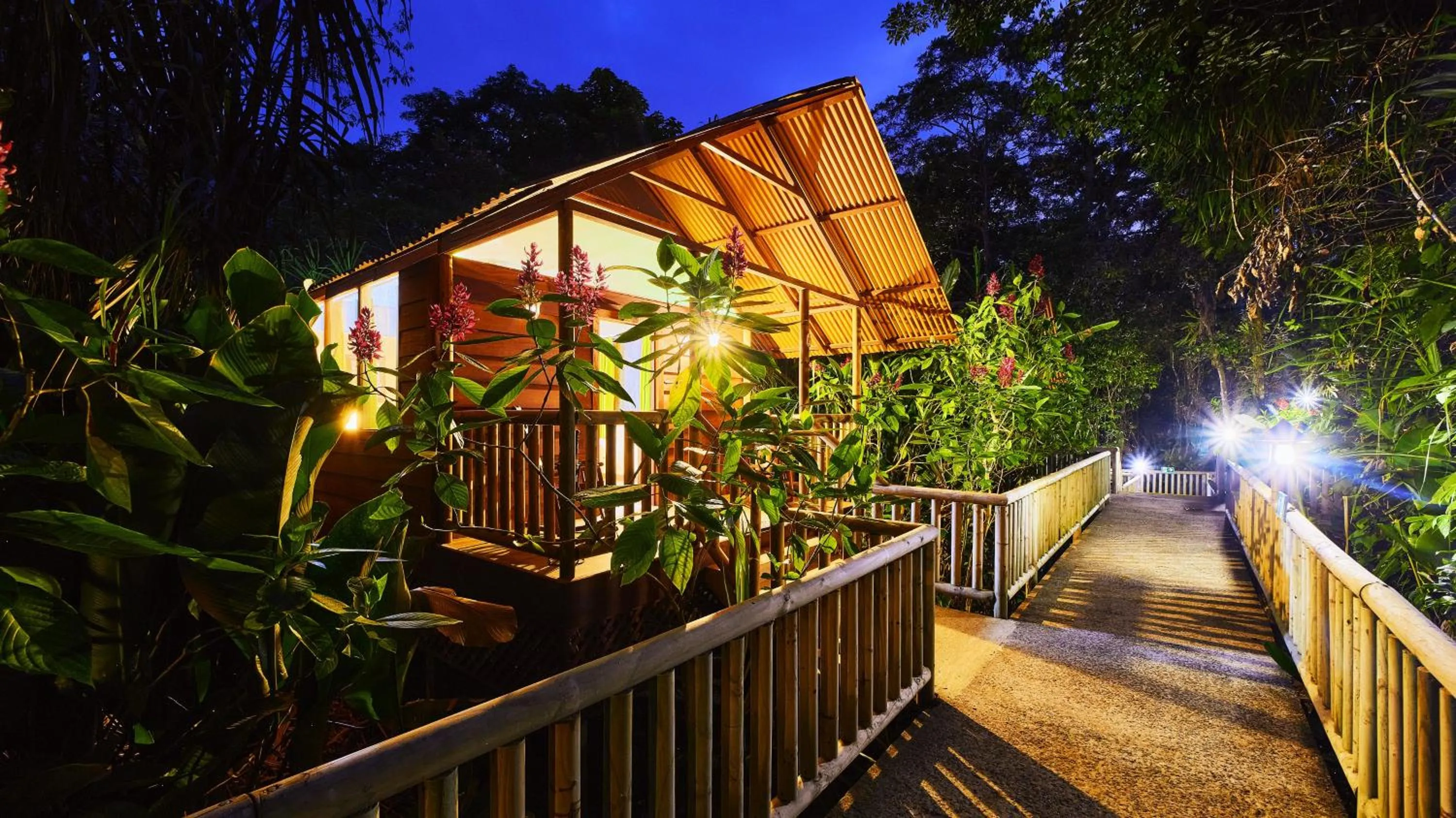 Night in Aninga Lodge