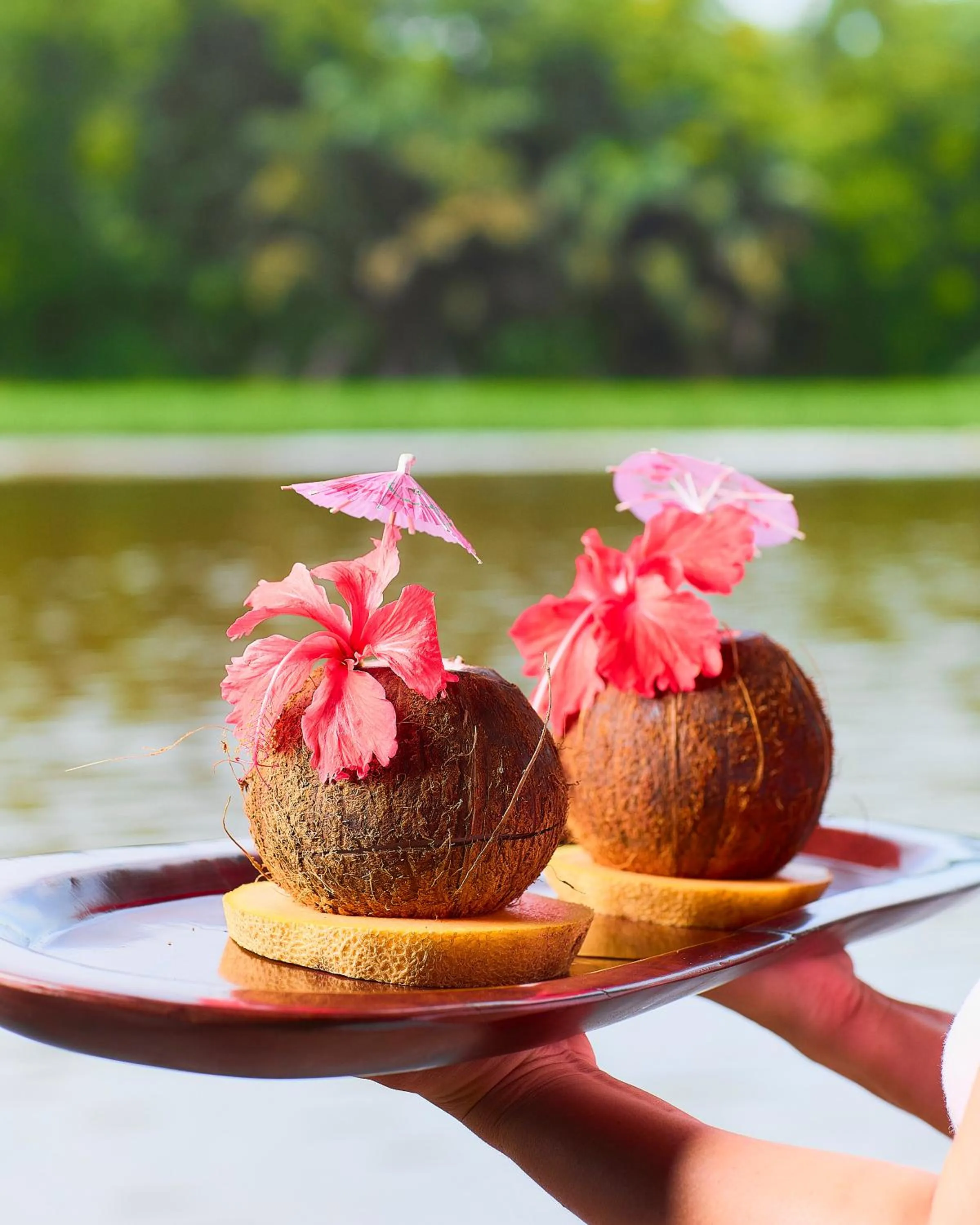 Food and drinks in Aninga Lodge
