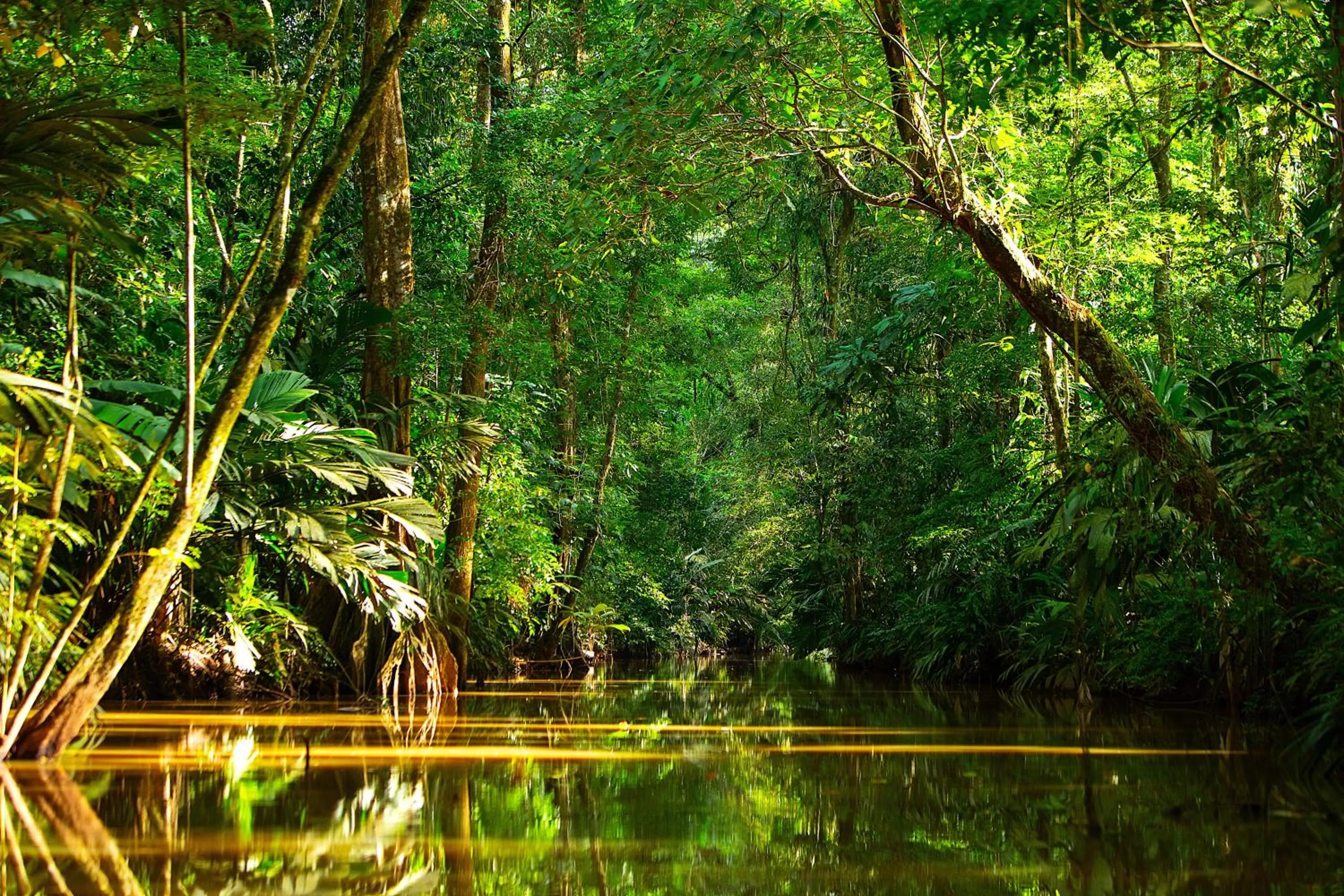 Natural landscape in Aninga Lodge