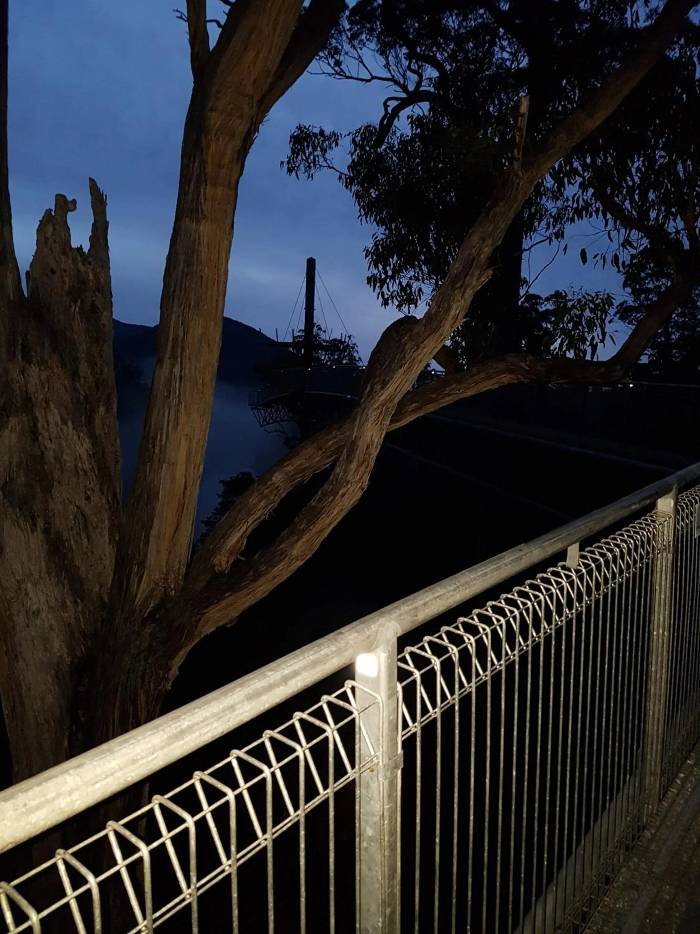 Night in Tahune AirWalk Cabin and Lodge