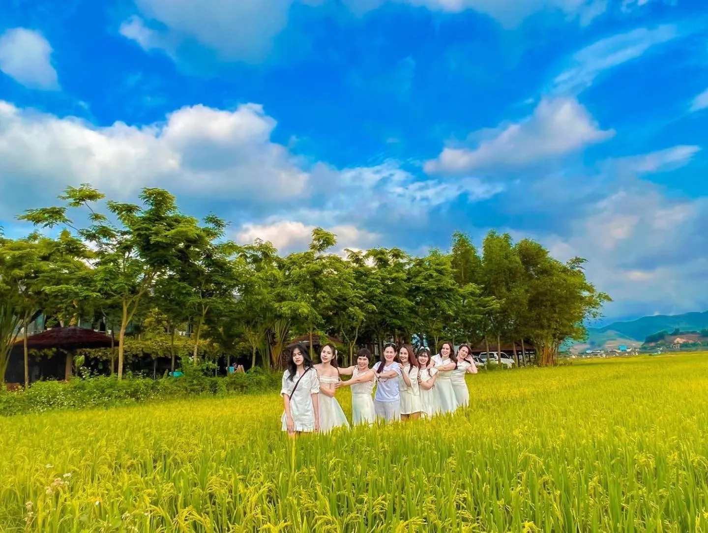 View (from property/room) in Jungle Boss Travel Lodge