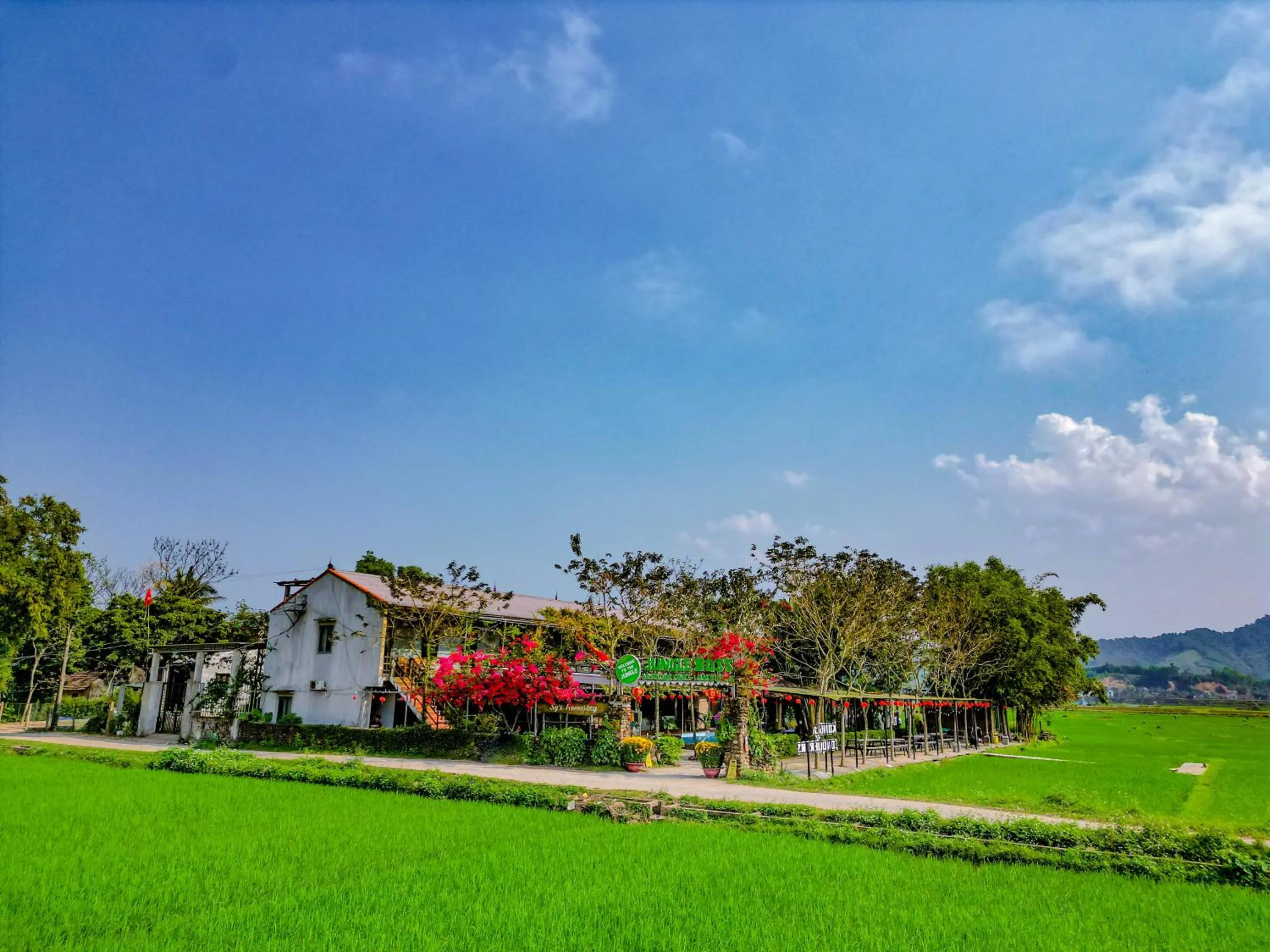 Jungle Boss Travel Lodge