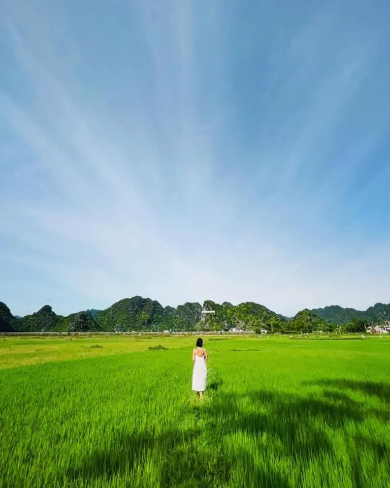 Natural landscape in Jungle Boss Travel Lodge