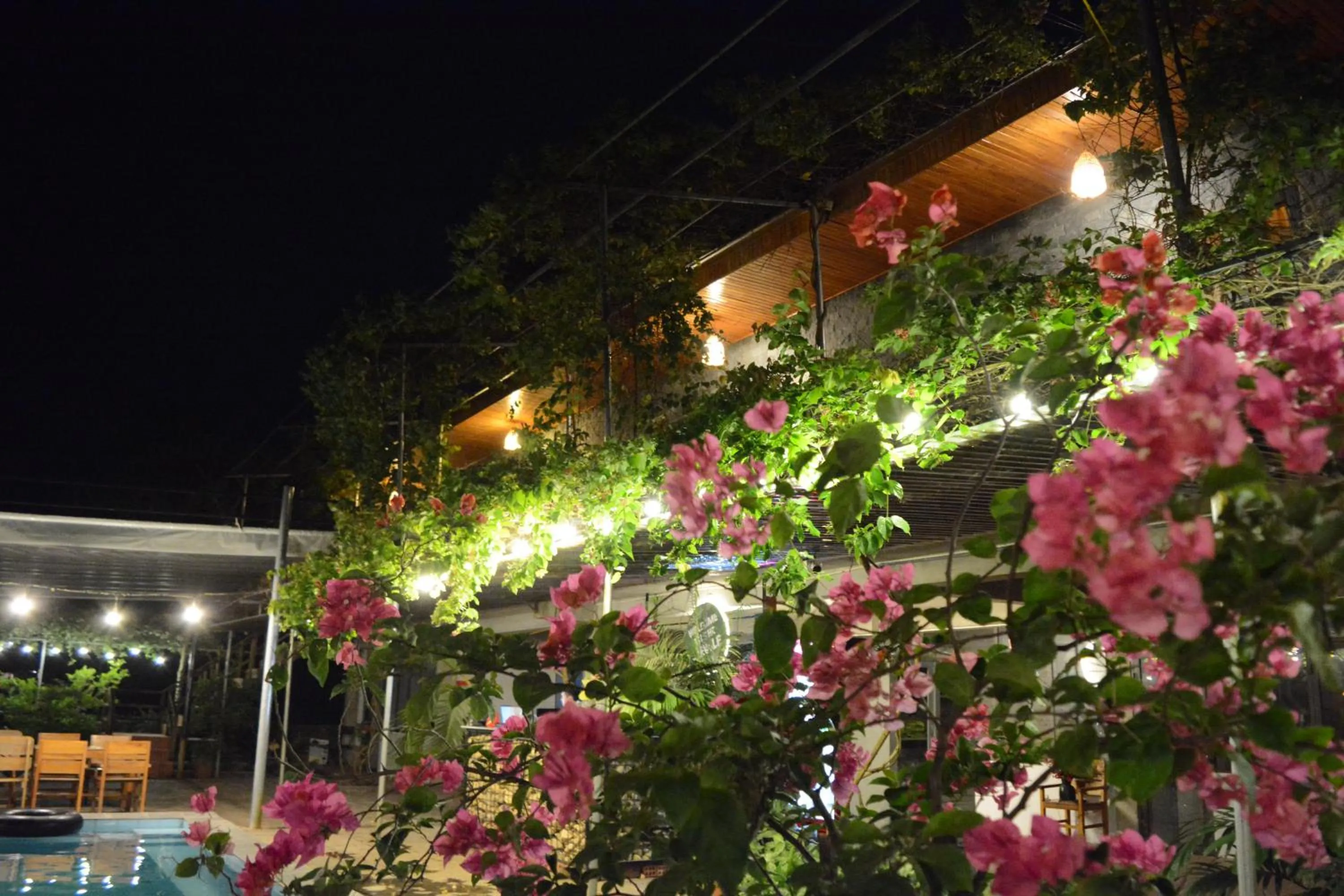 Property building in Jungle Boss Travel Lodge