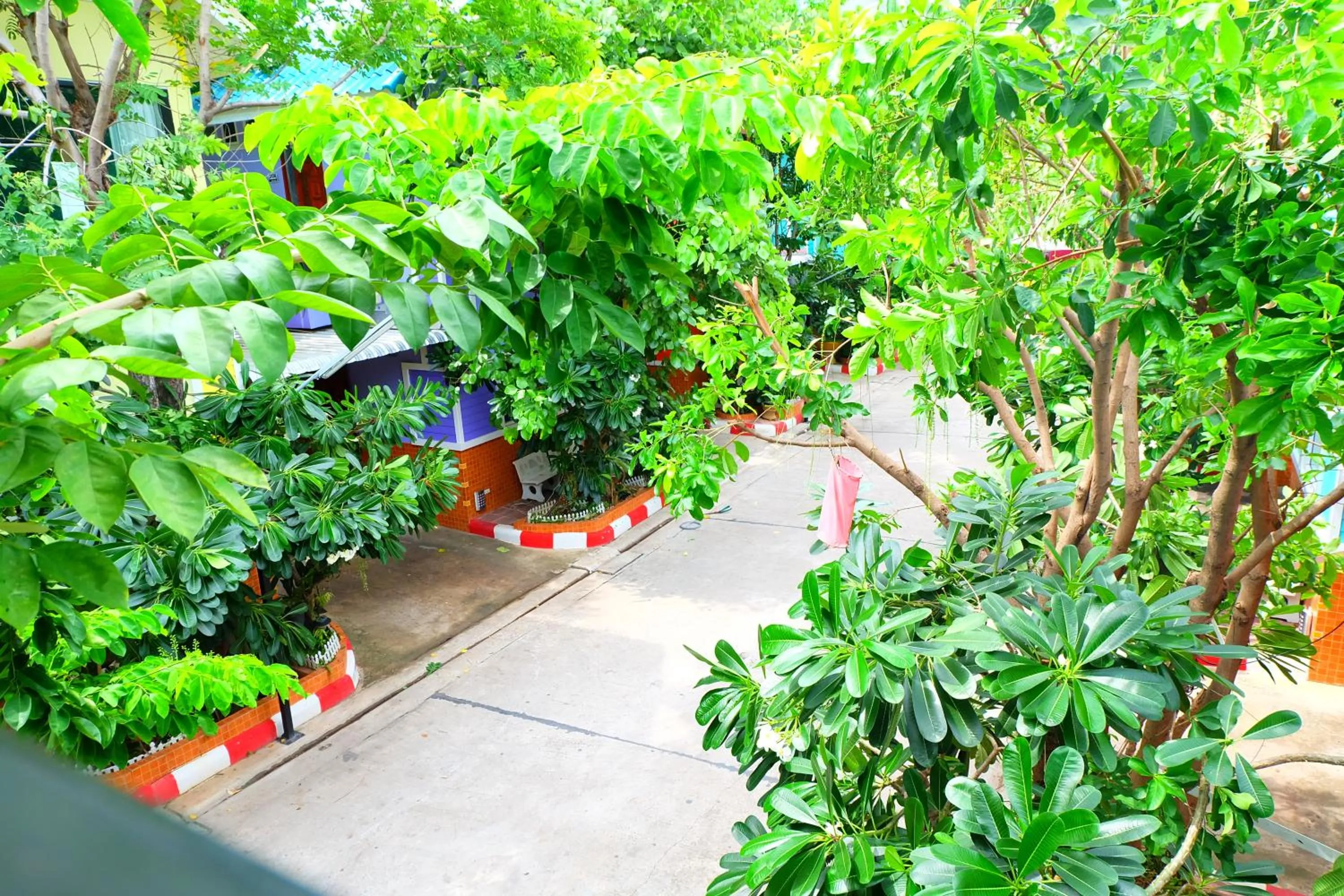 Street view in Rak Kun Resort 2