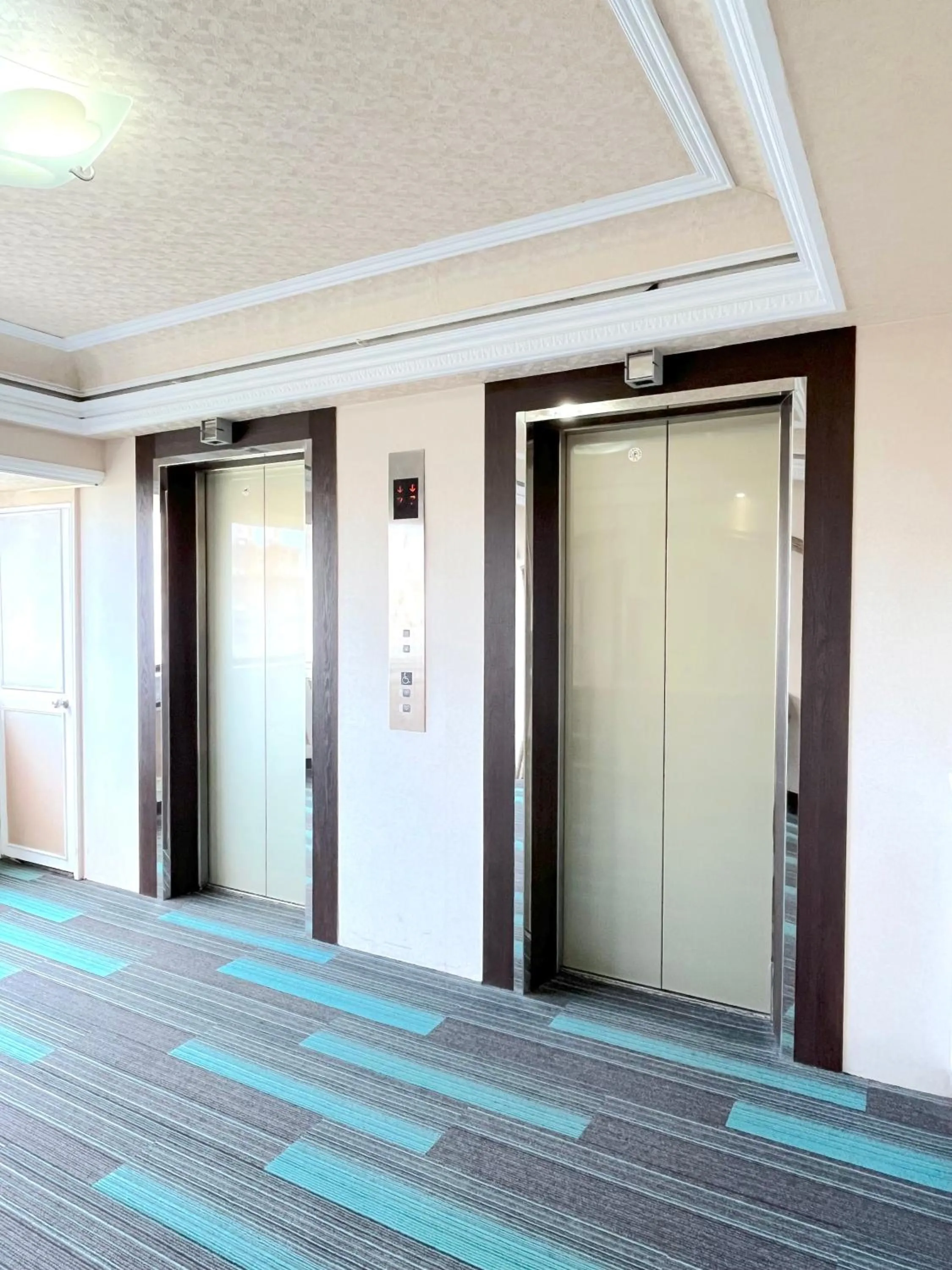 Facility for disabled guests in Sunny Hotel