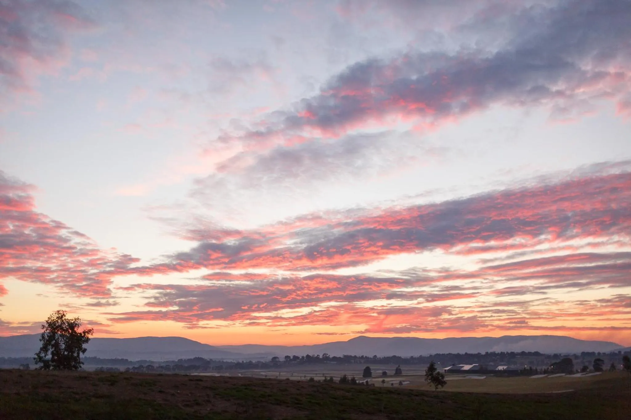 Natural landscape in Yering Gorge Cottages