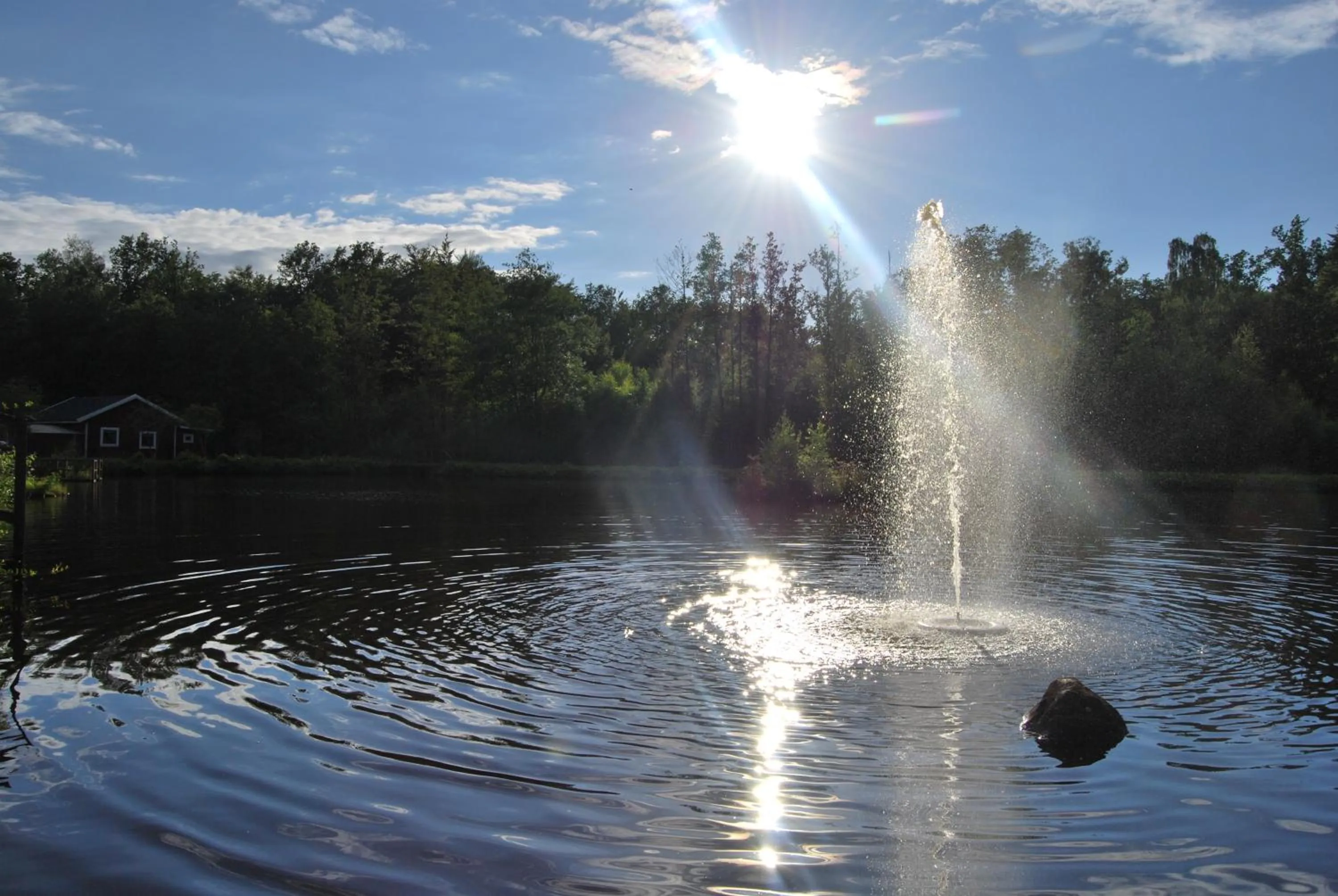 Natural landscape in Hillesgården
