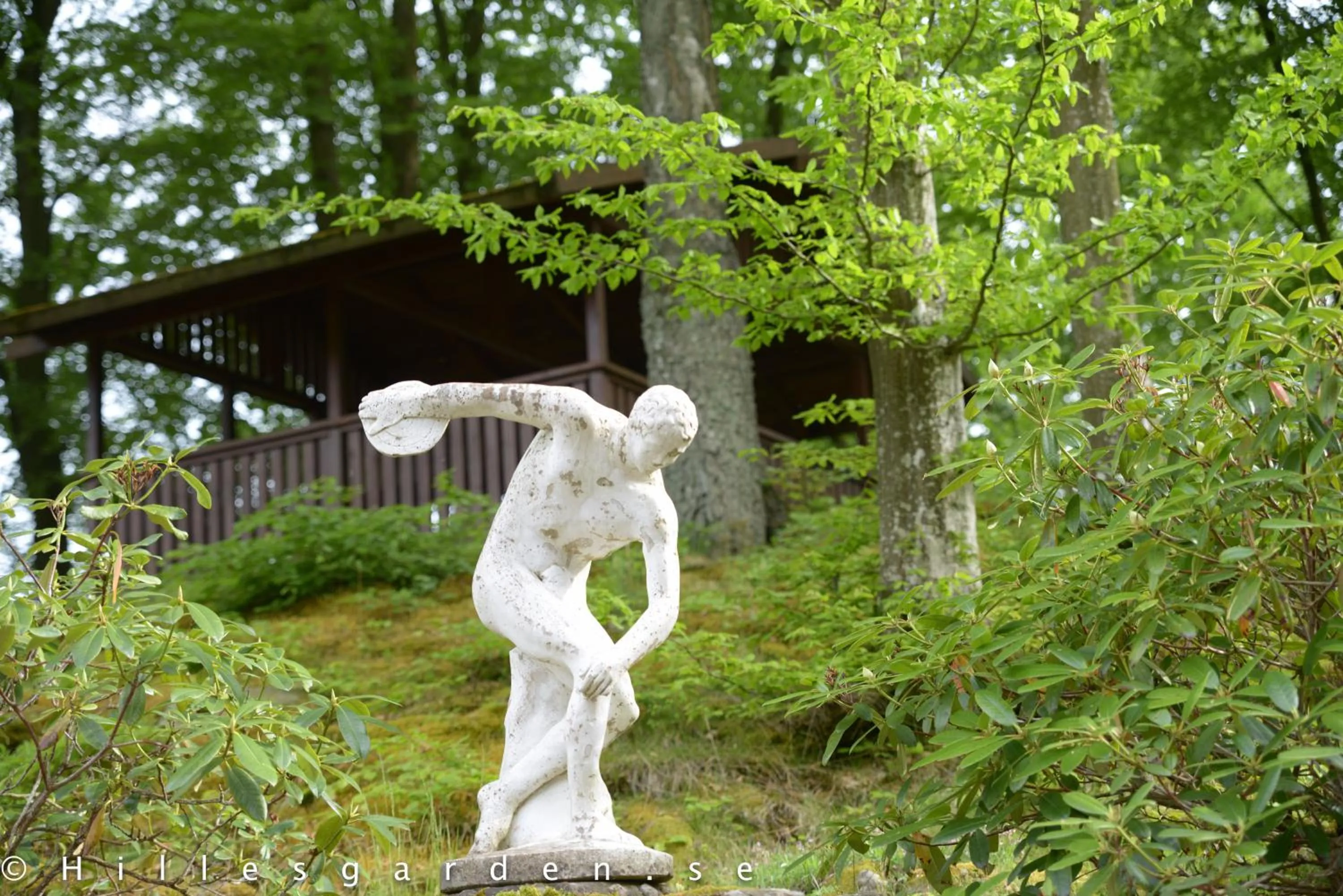 Natural landscape in Hillesgården