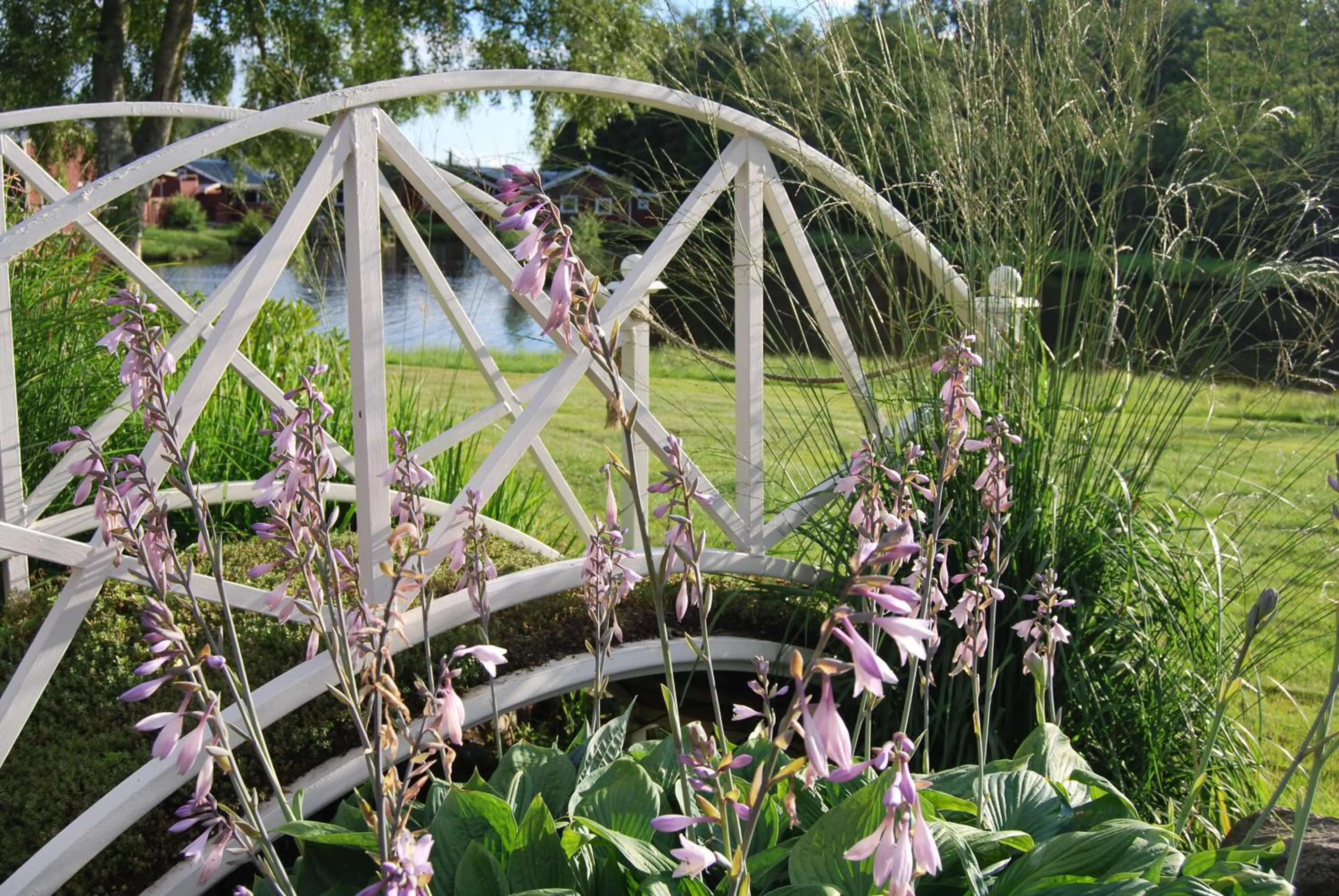 Natural landscape in Hillesgården