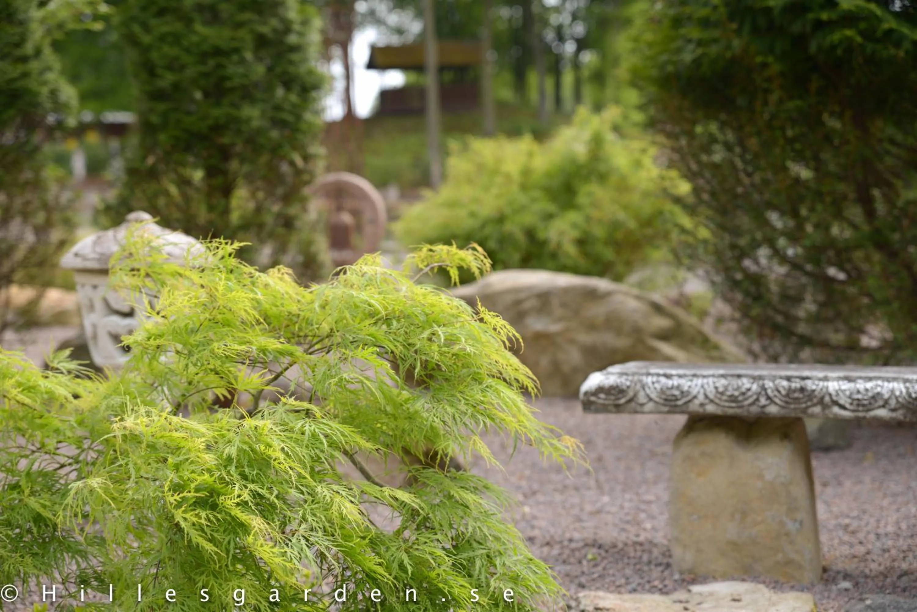 Natural landscape in Hillesgården