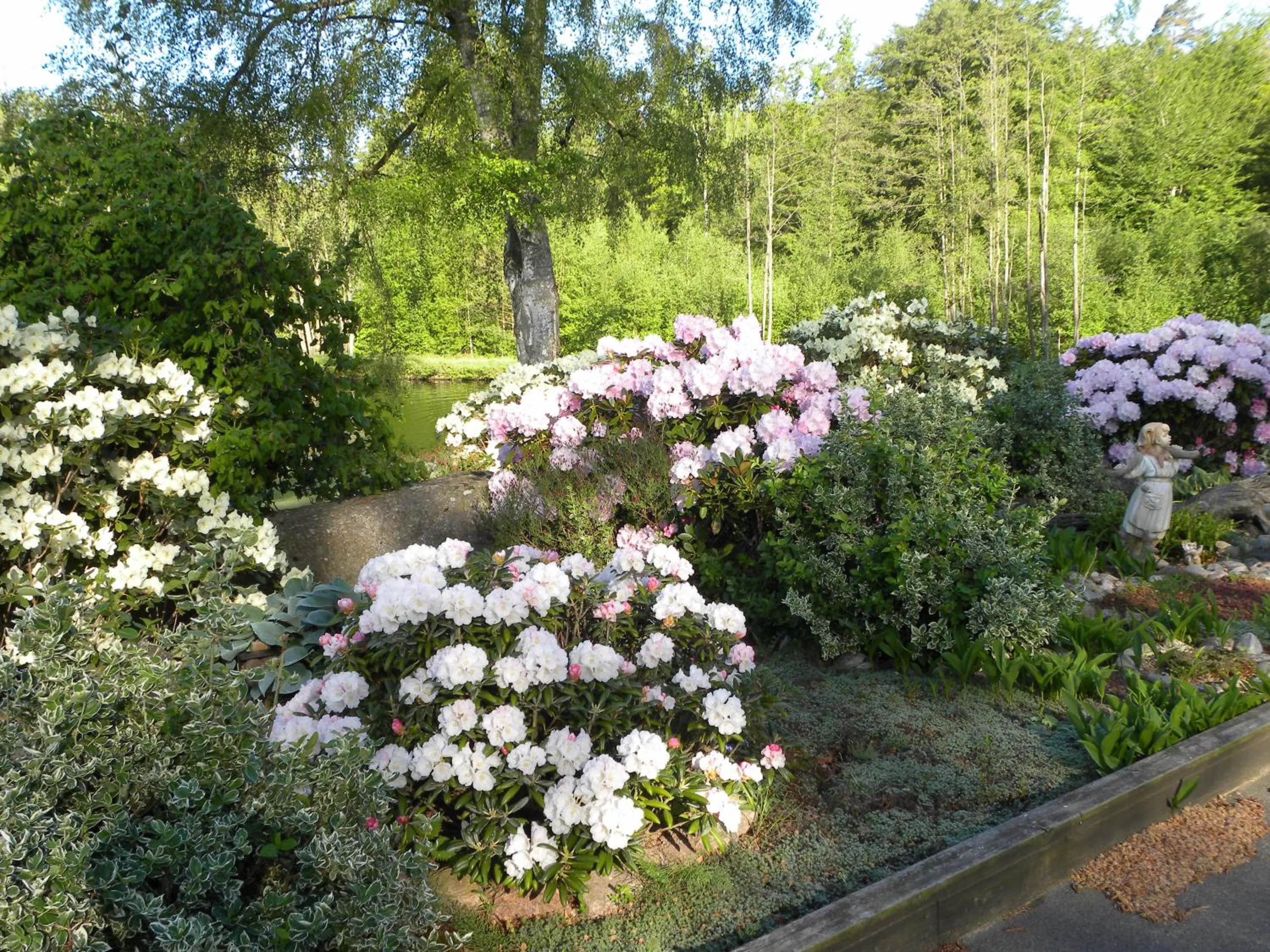 Natural landscape in Hillesgården