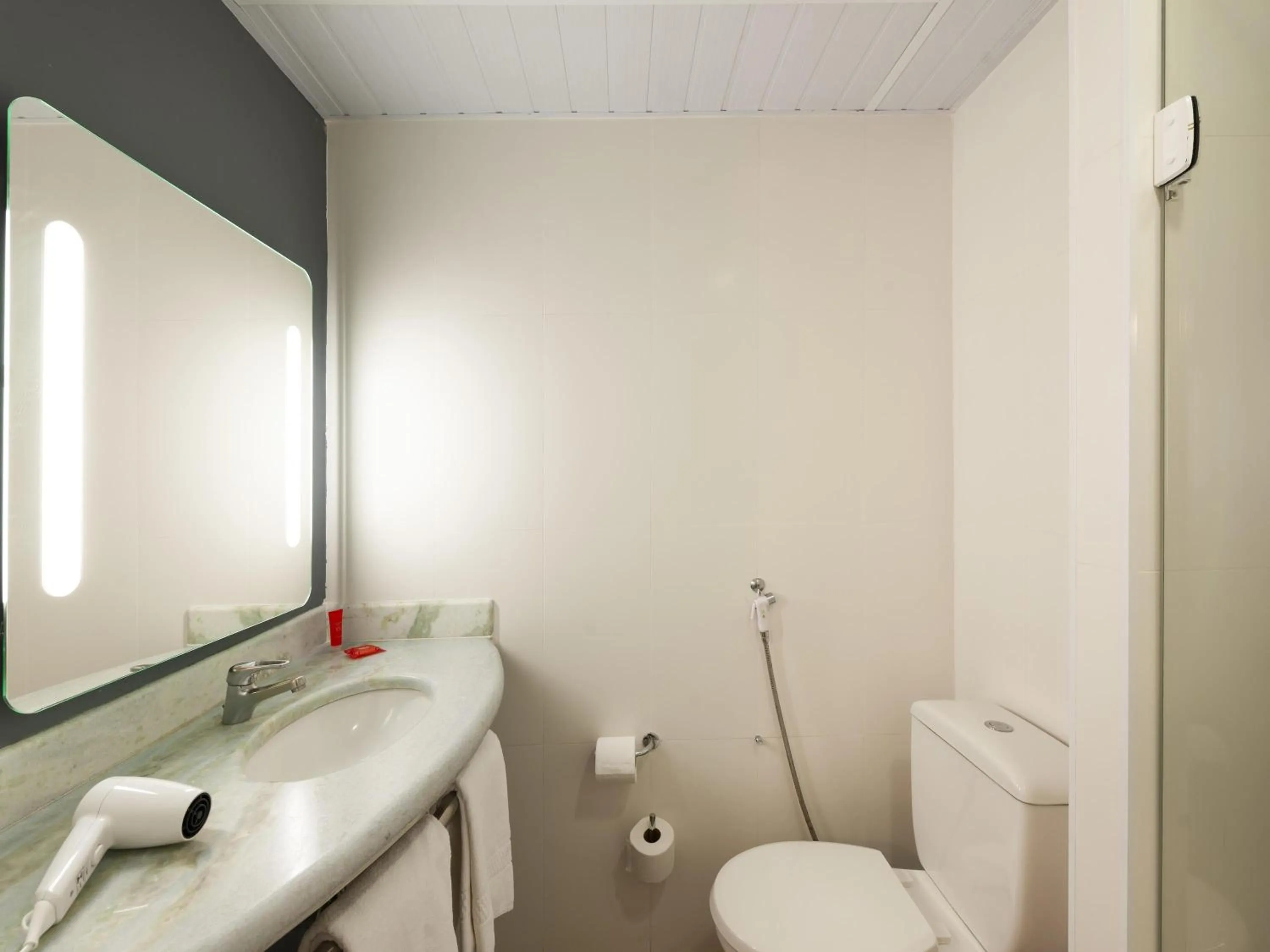 Bedroom in Ibis São Carlos