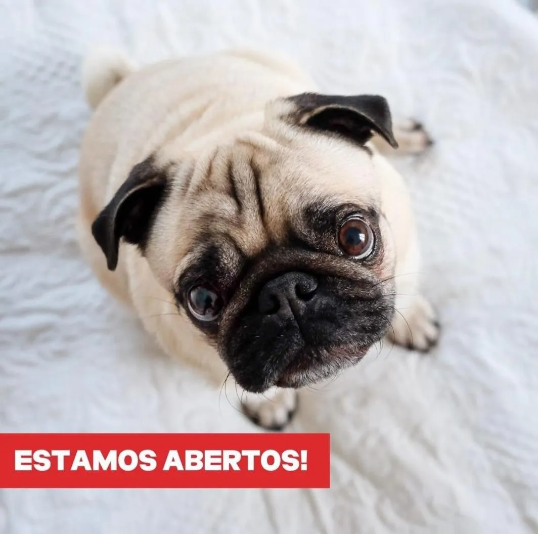 Pets in ibis Jundiai Shopping