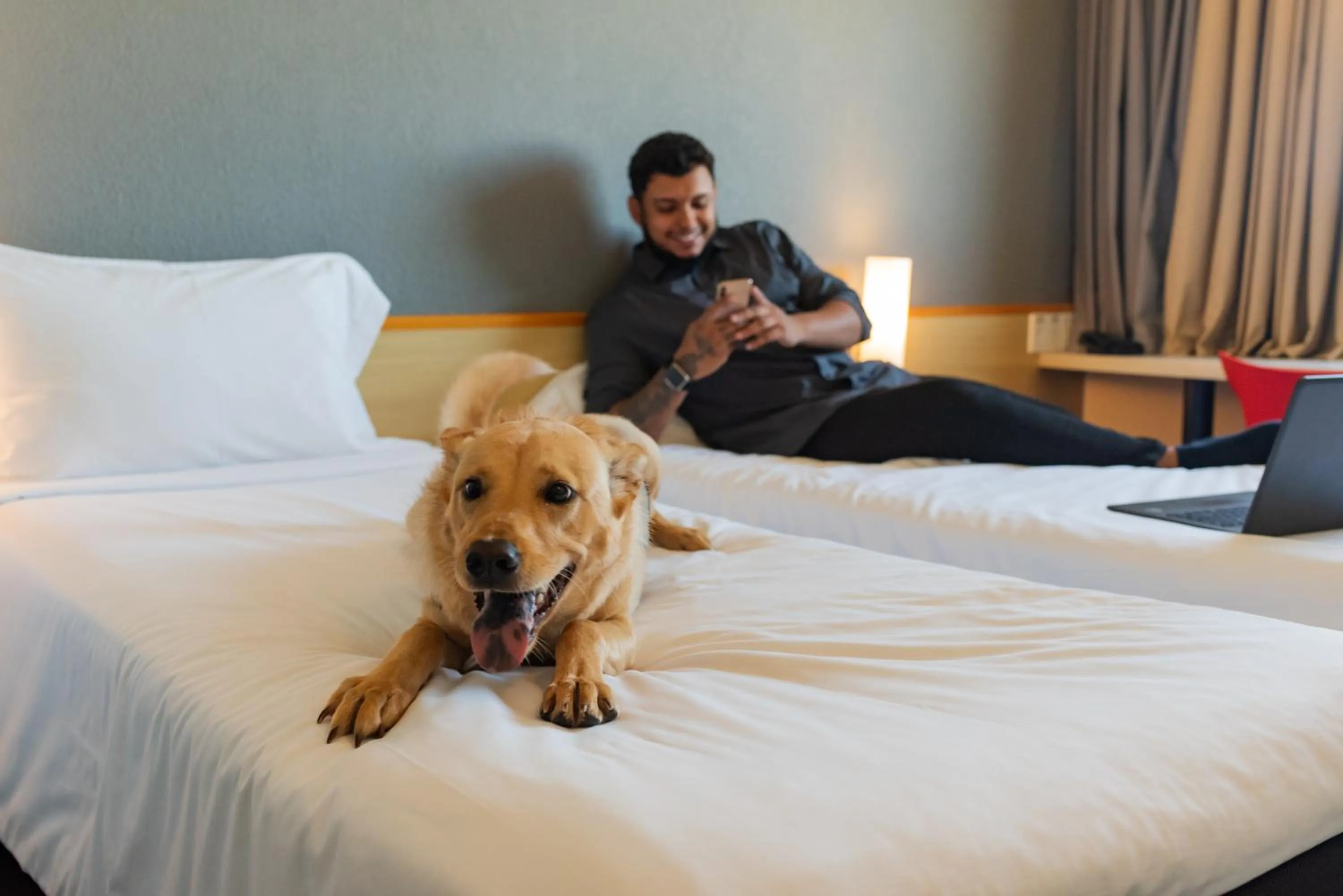 Pets, Bed in ibis Criciuma