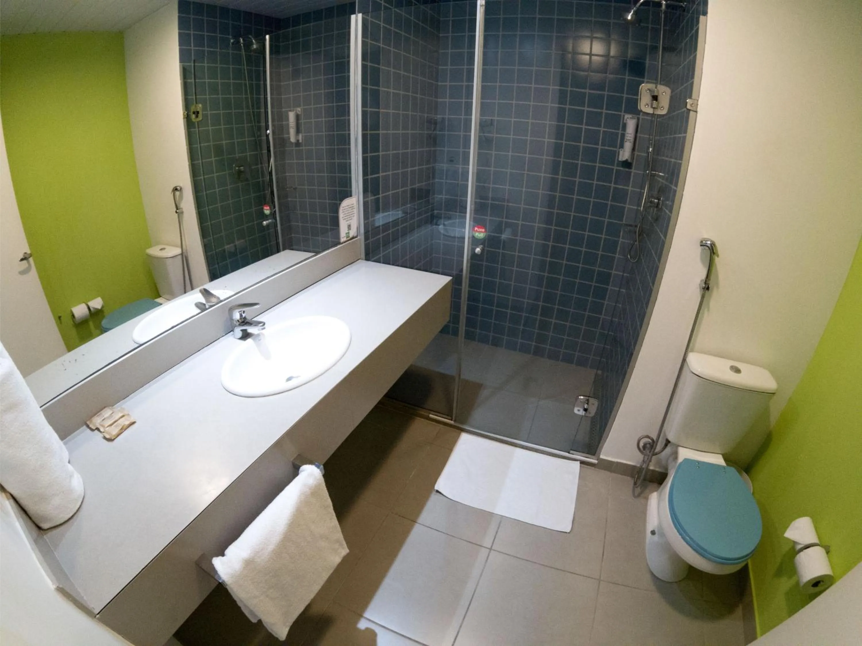 ibis Styles Sao Paulo Barra Funda