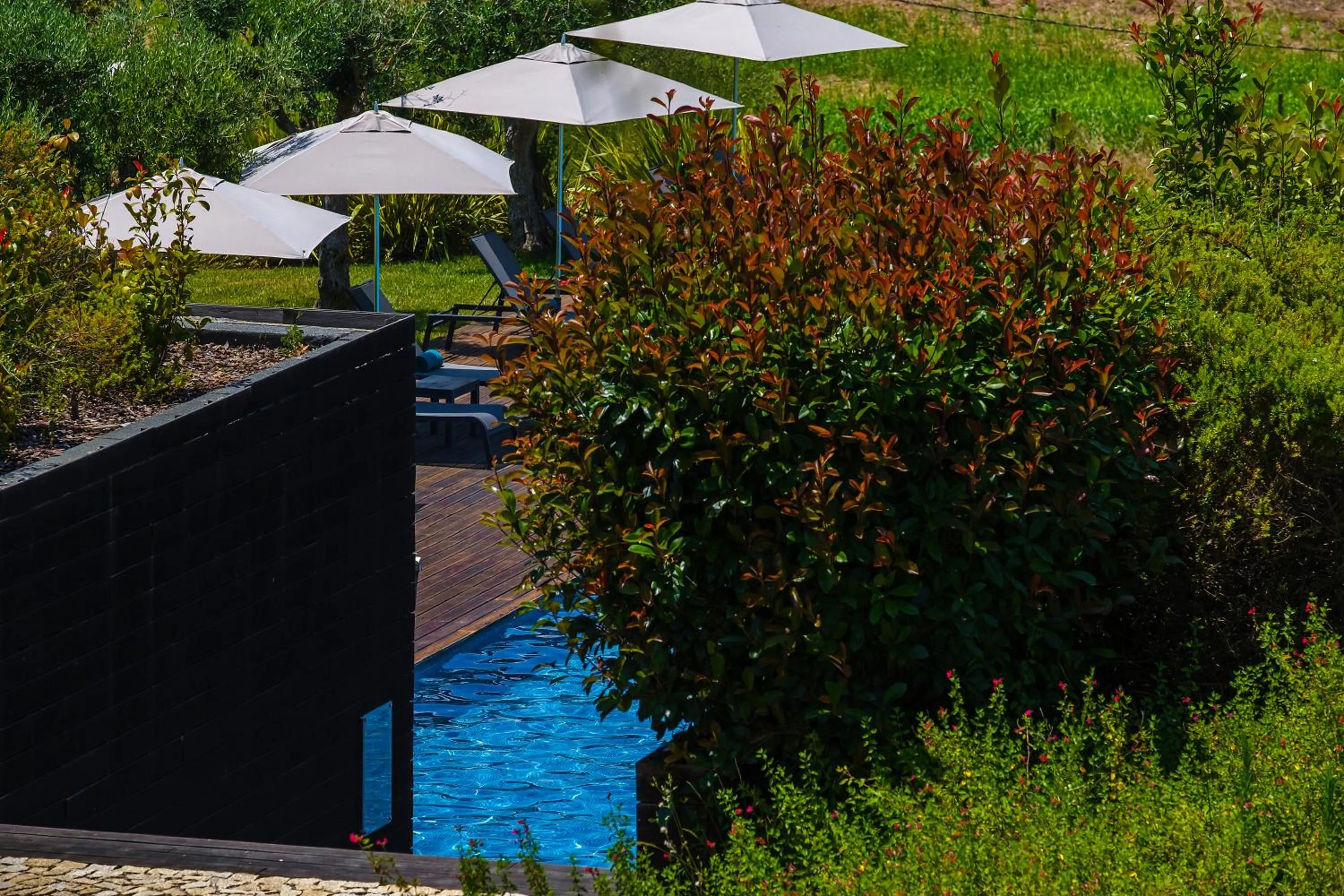 Swimming pool in Herdade da Cortesia Hotel
