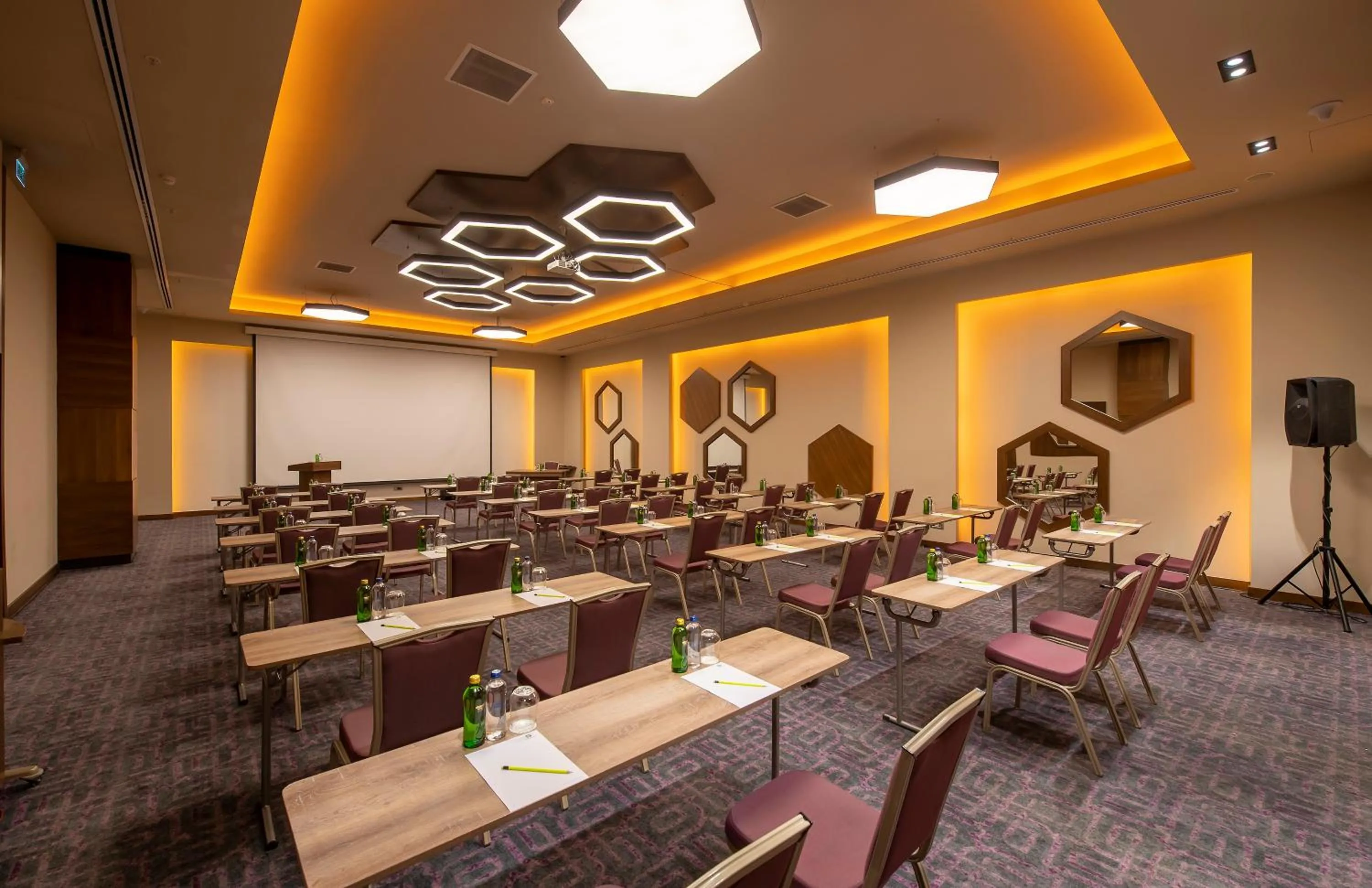 Meeting/conference room in Holiday Inn Kayseri - Duvenonu by IHG