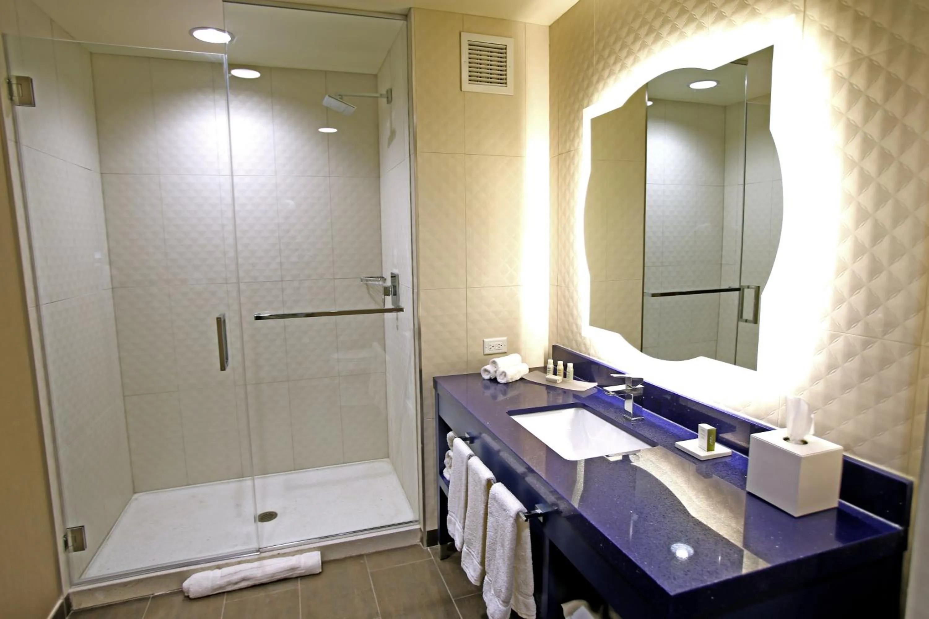 Bathroom in Hotel Indigo Naperville Riverwalk by IHG
