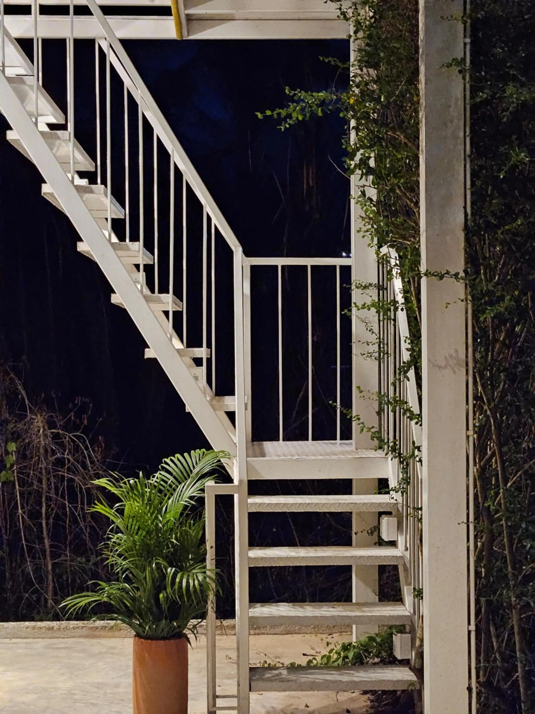 Facade/entrance in 88 Fine Hotel @ Suratthani Airport