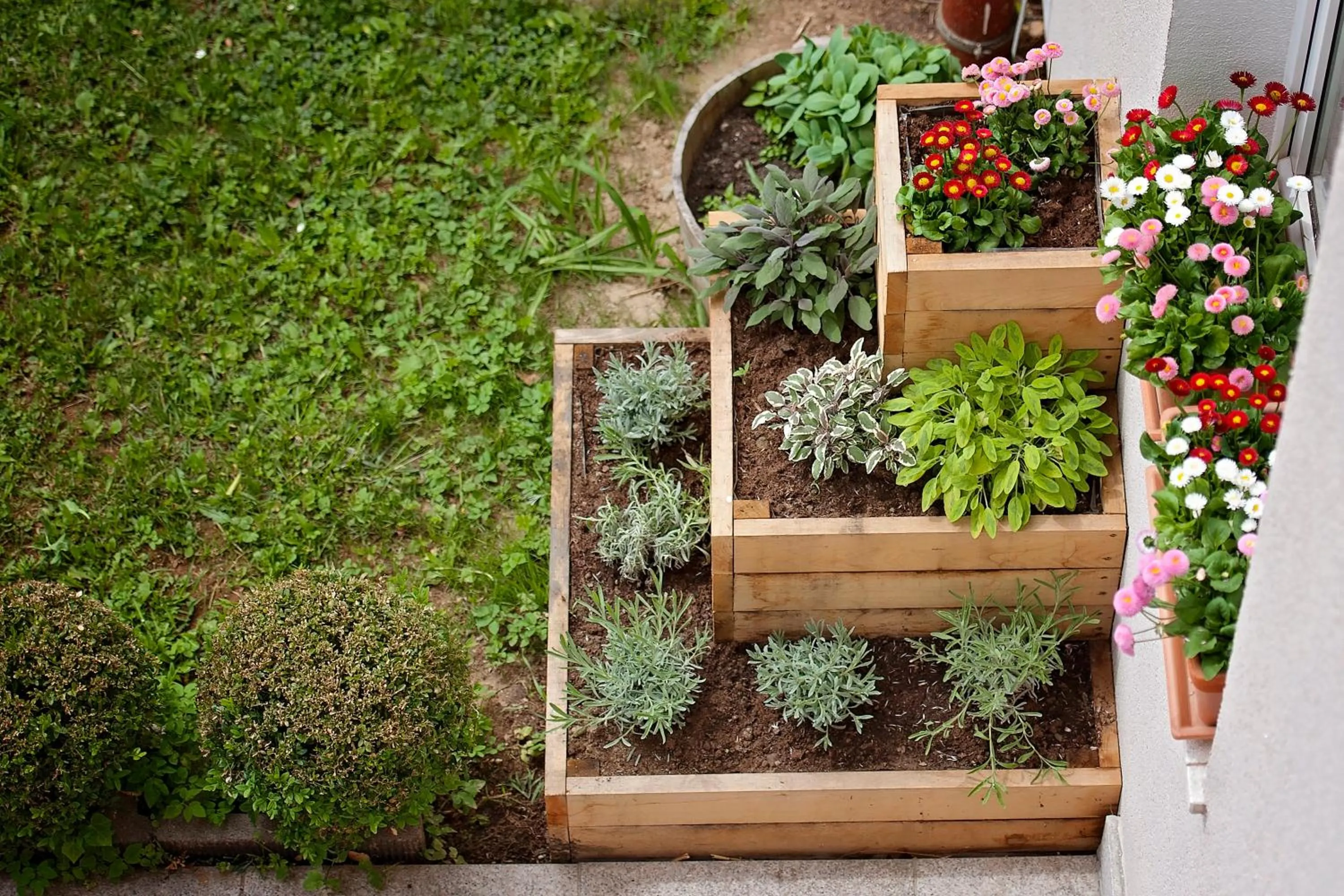 Garden in Hotel Bajt Maribor