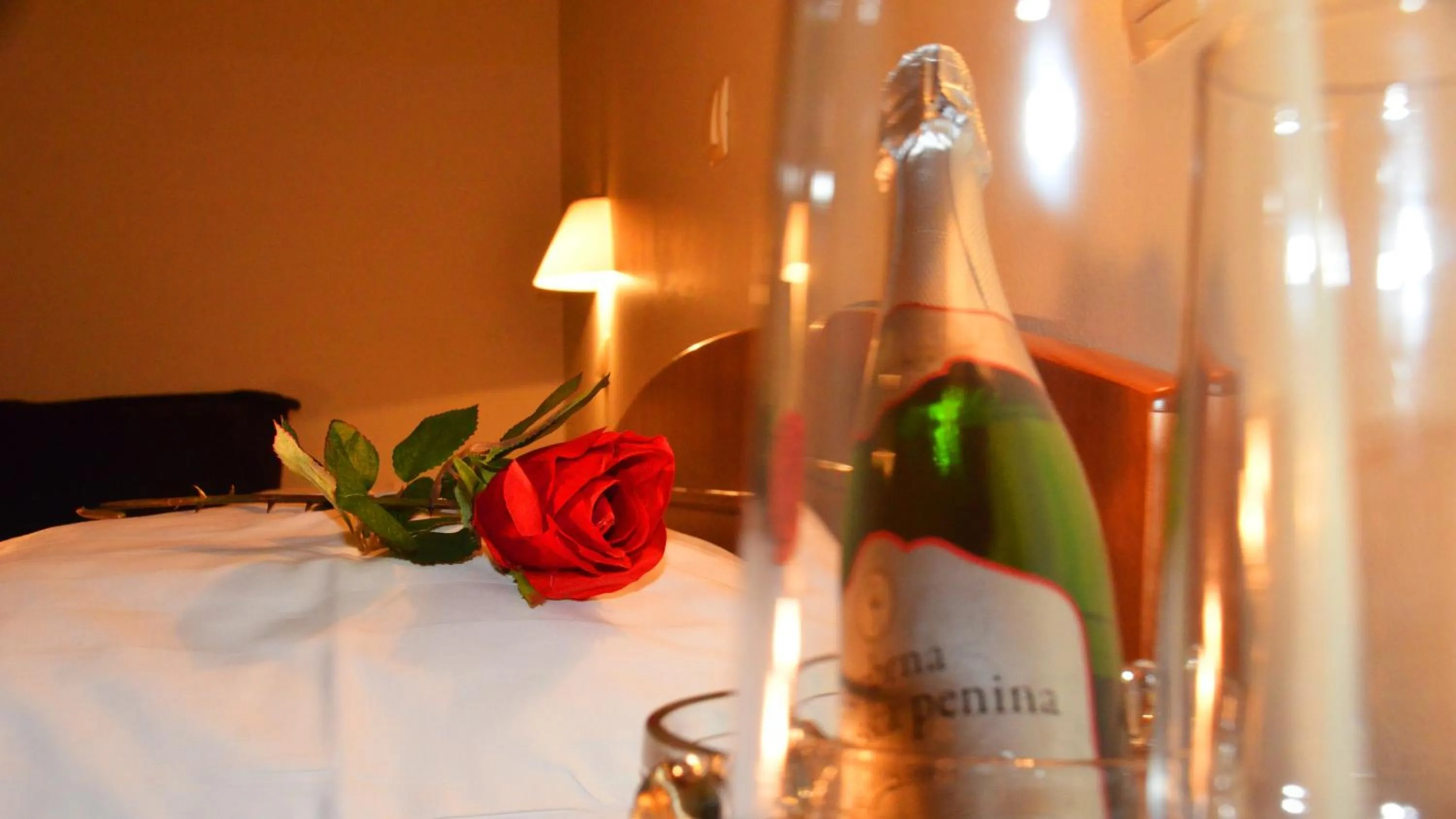 Banquet/Function facilities, Bed in Hotel Bajt Maribor