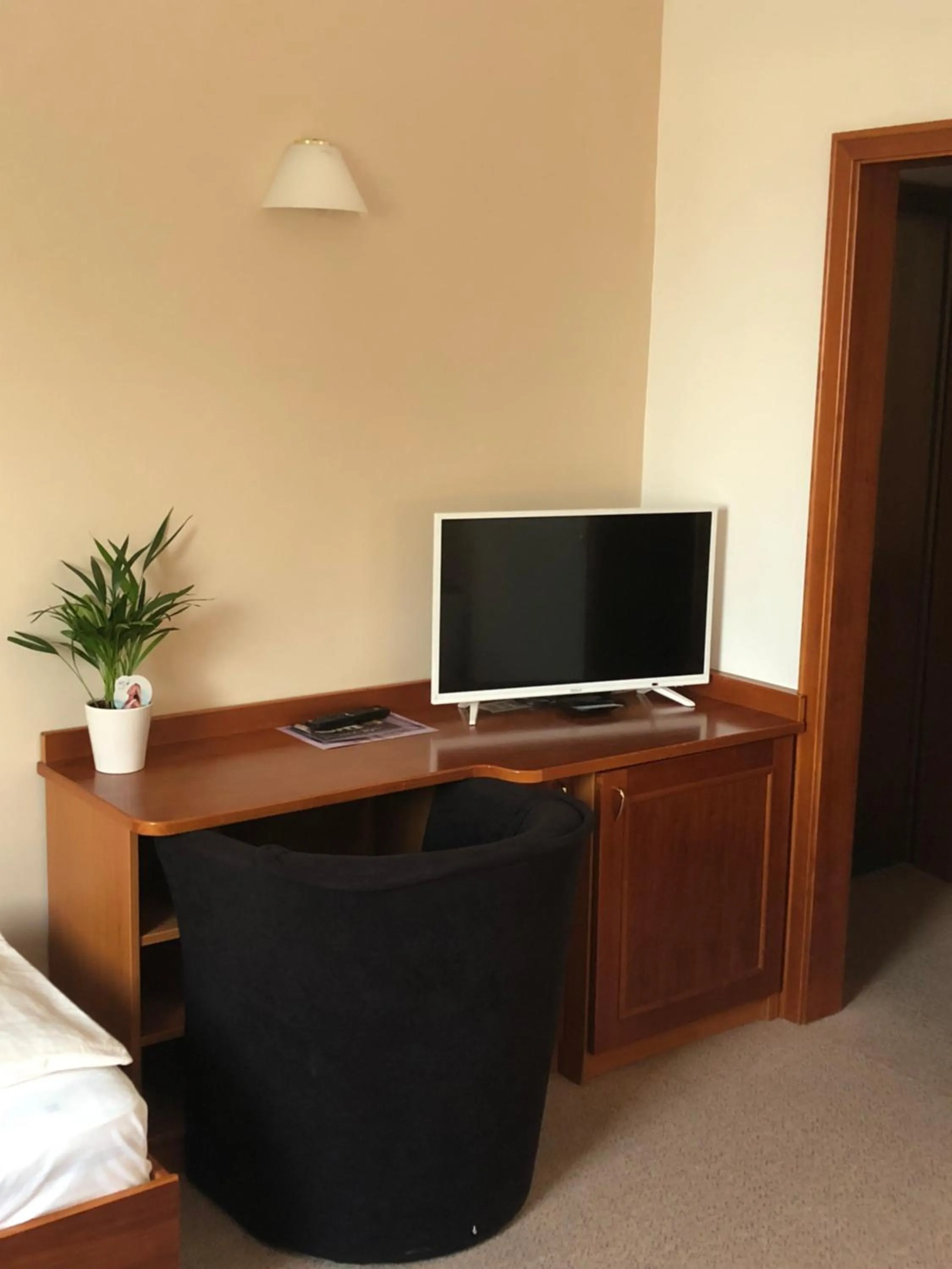 TV and multimedia in Hotel Bajt Maribor