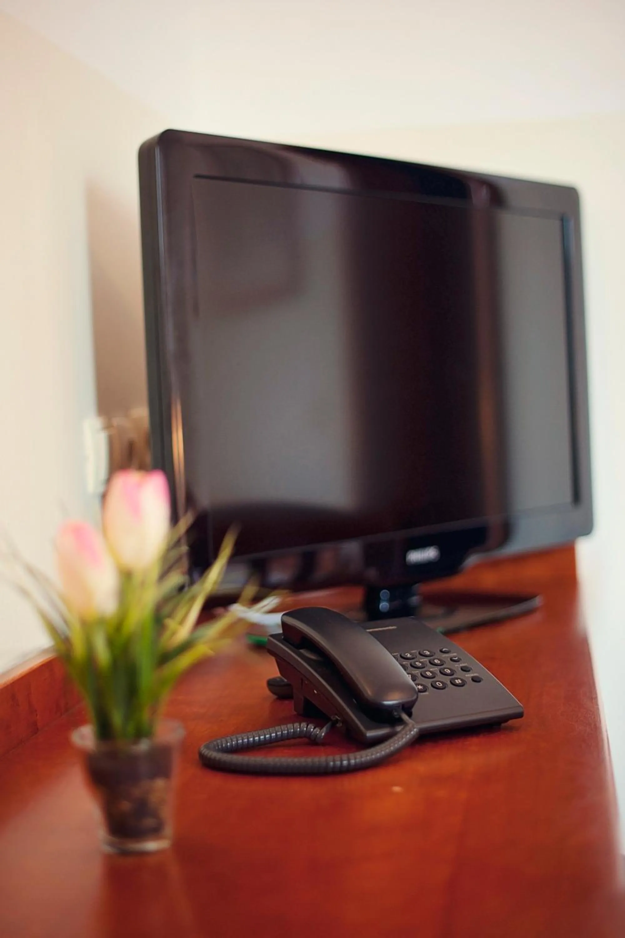 TV and multimedia in Hotel Bajt Maribor