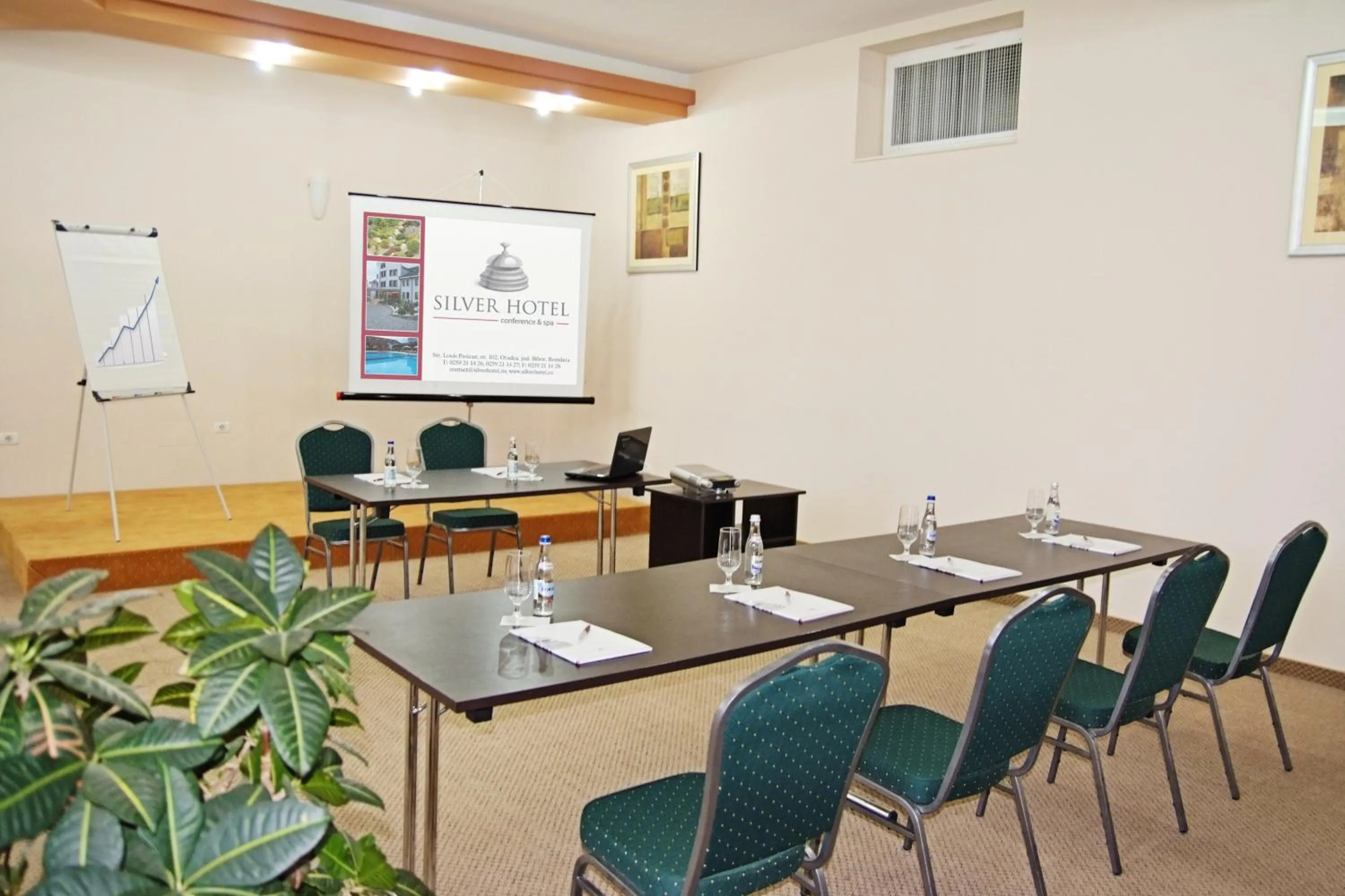 Business facilities in Silver Hotel