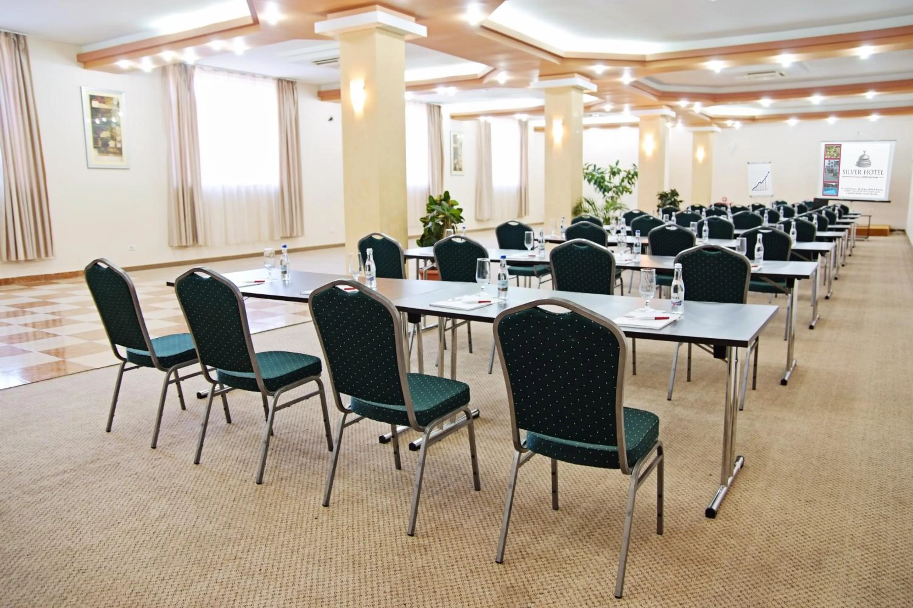Business facilities in Silver Hotel