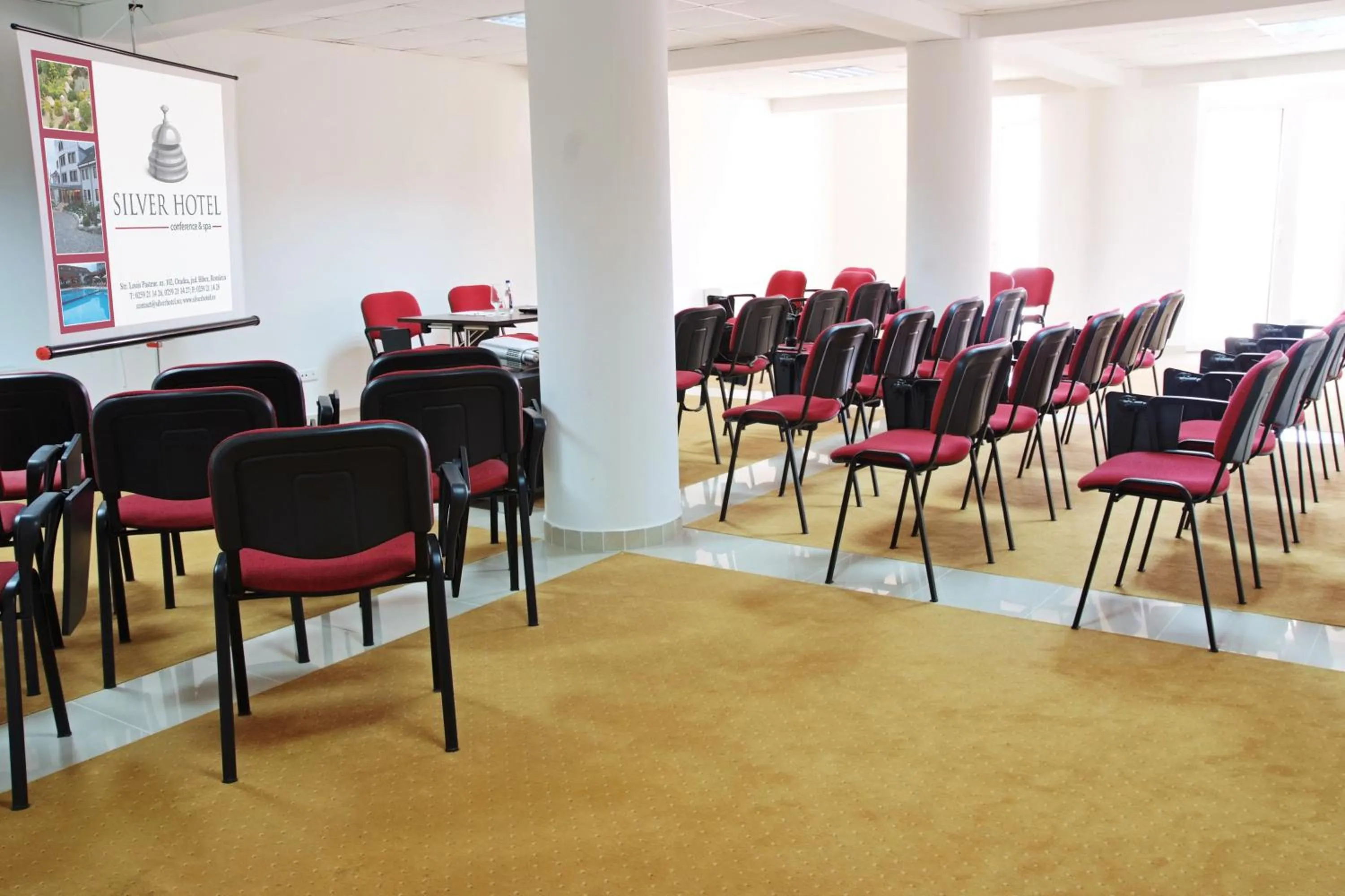 Business facilities in Silver Hotel