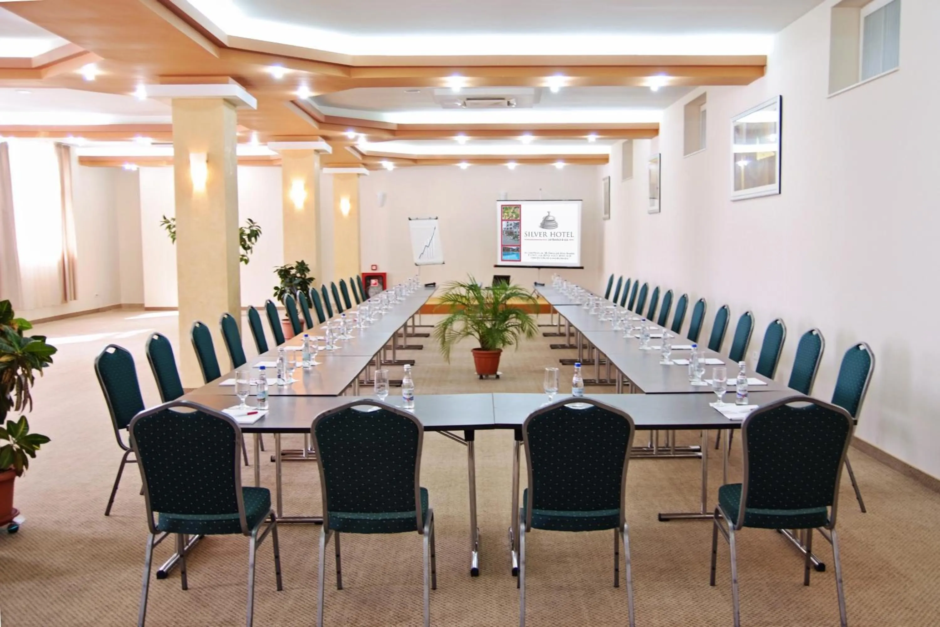 Business facilities in Silver Hotel