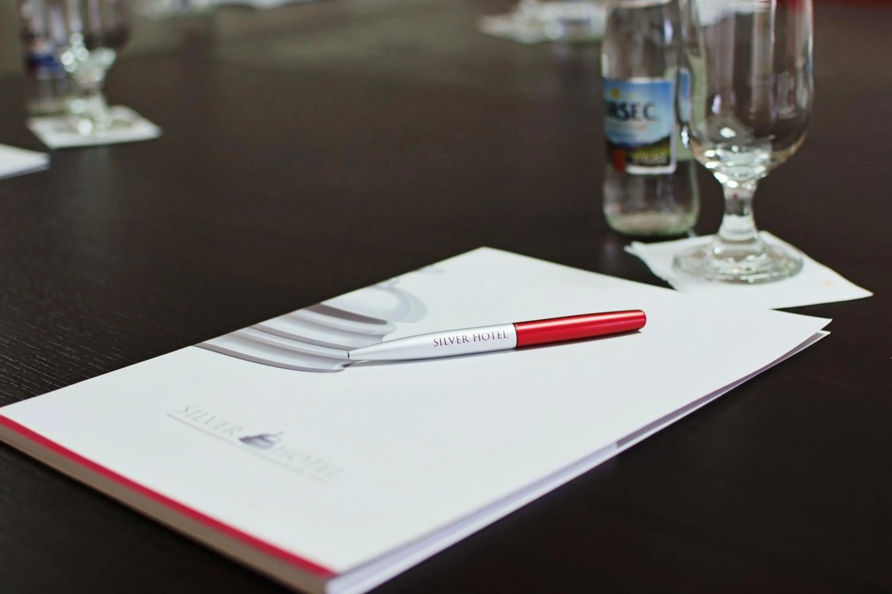 Business facilities in Silver Hotel