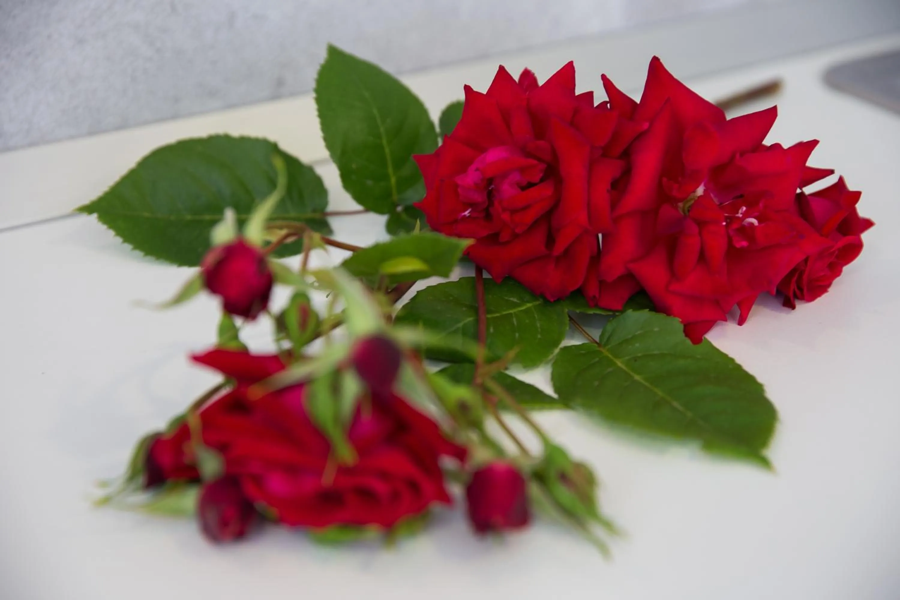 Decorative detail in Apartments ZoomZoom